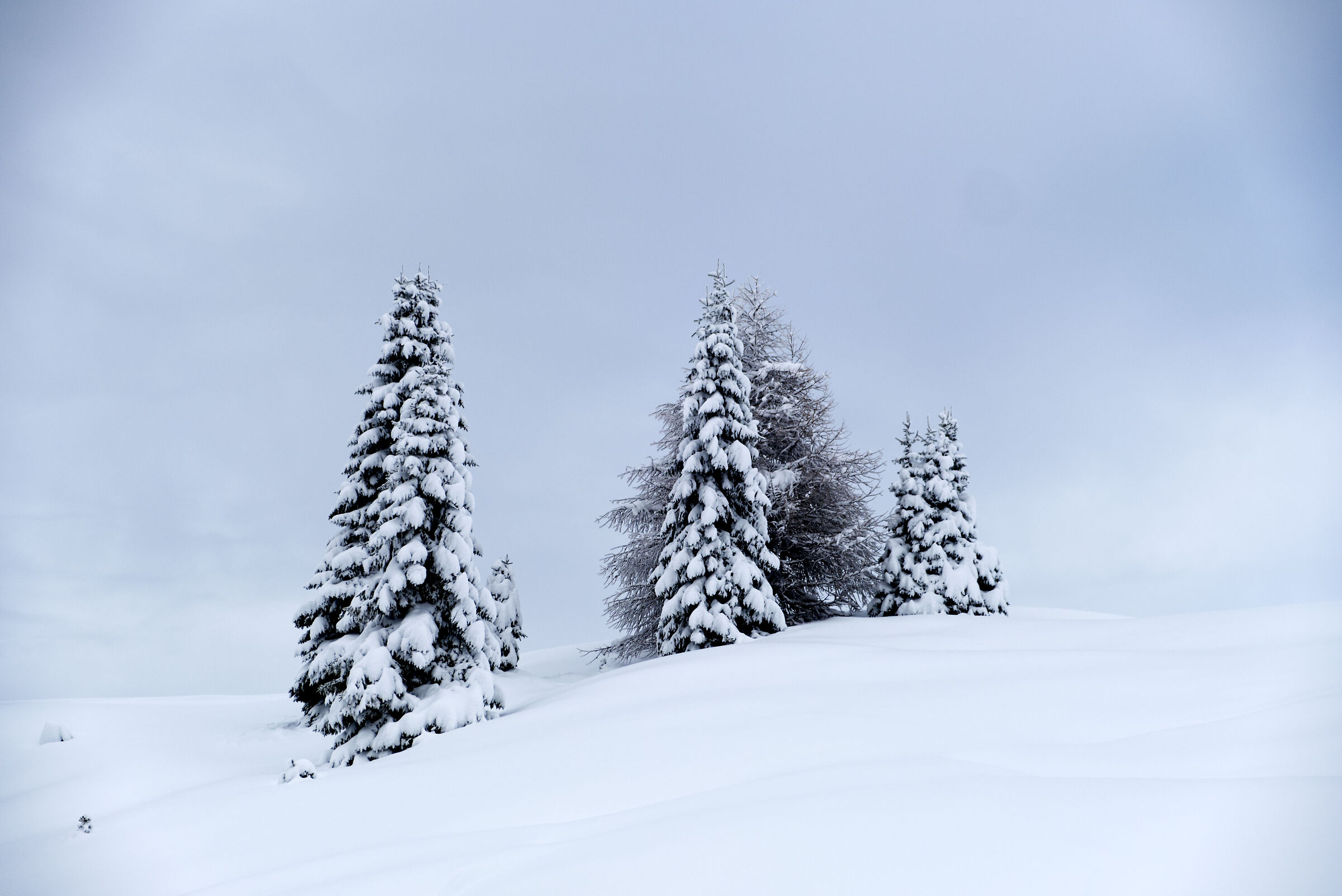 L'inverno sta arrivando
