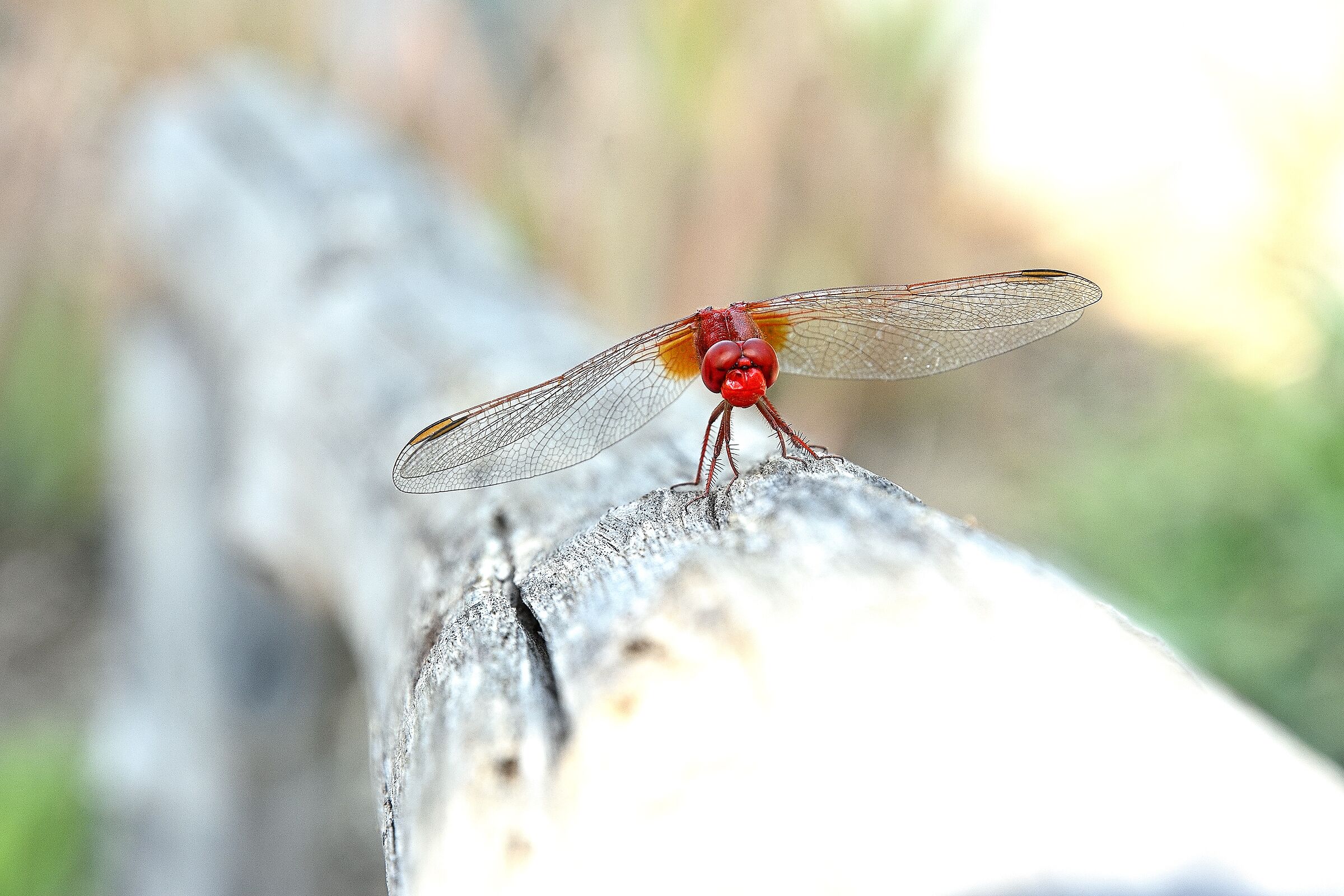 Untitled Photo