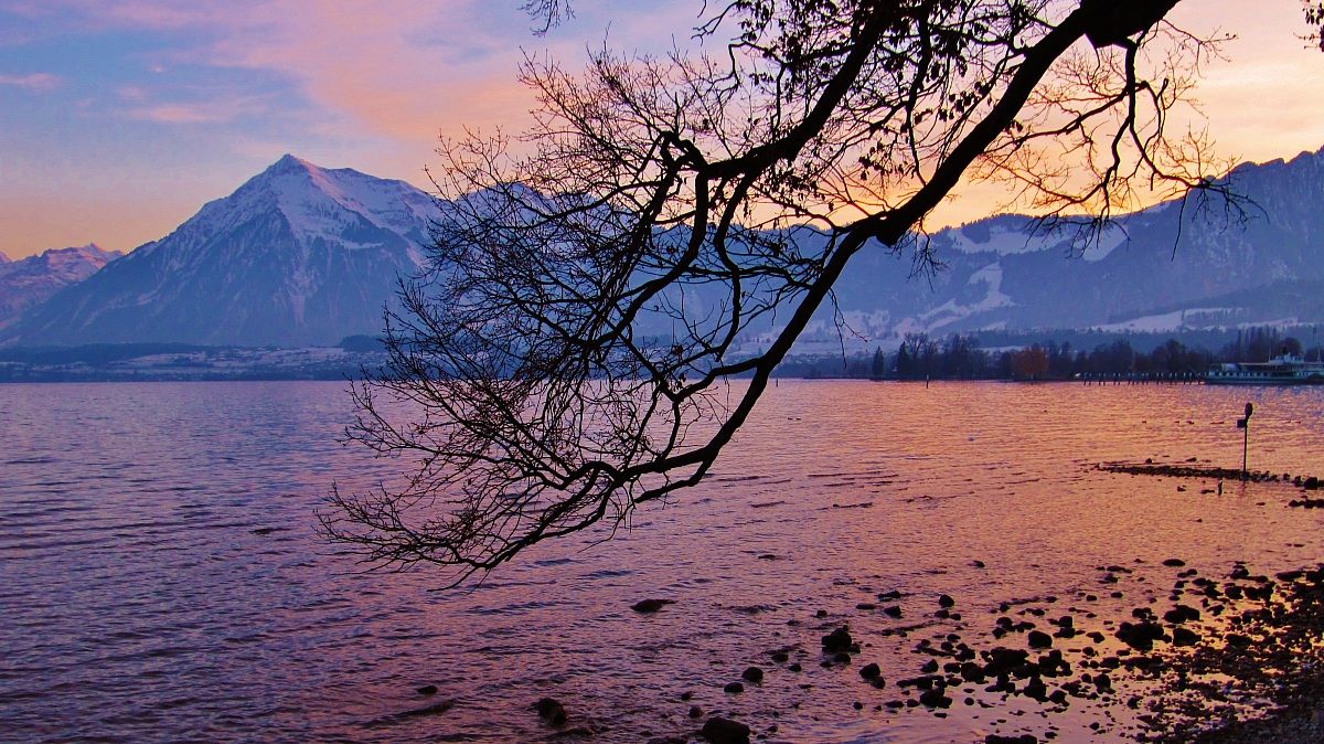Lago di Thun, Niesen visto da Schadau