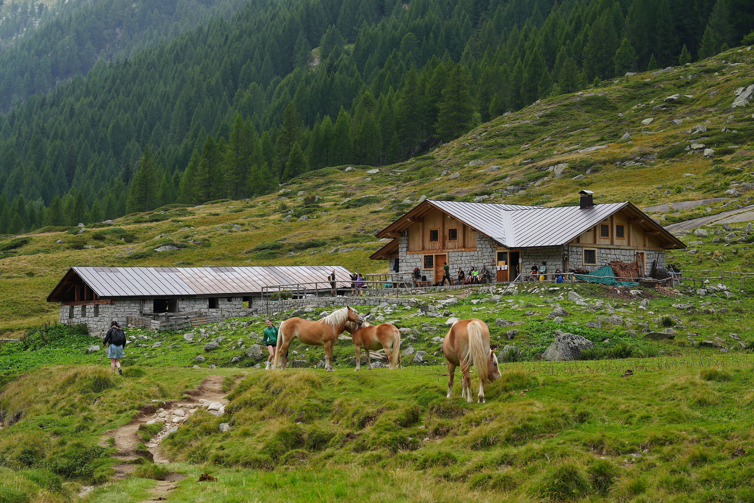 Val di Fumo "il piccolo Canada Trentino"