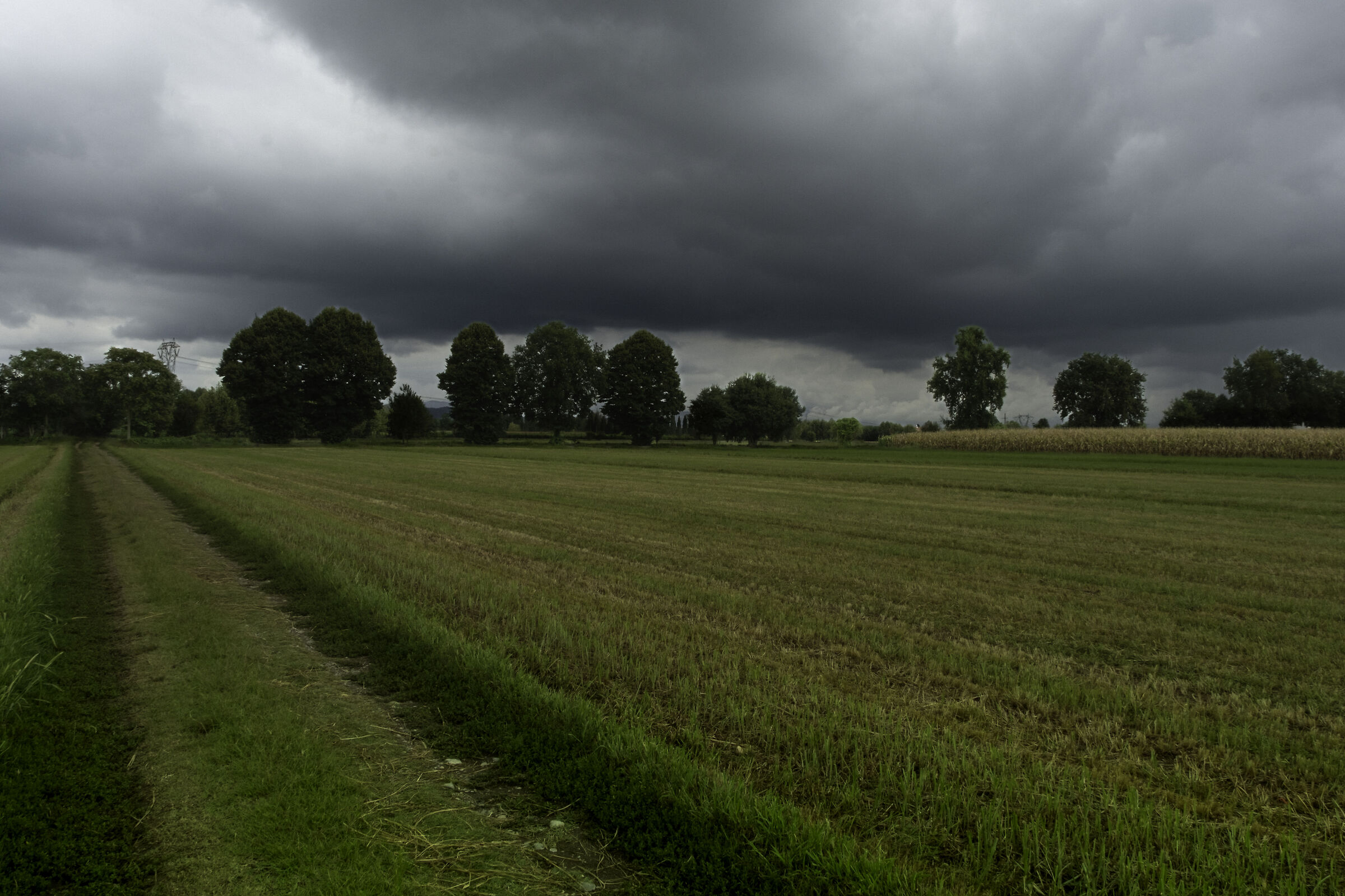Prima del temporale