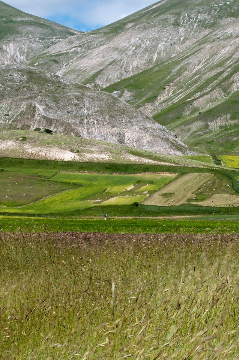 Piana di Castelluccio, giochi di colore