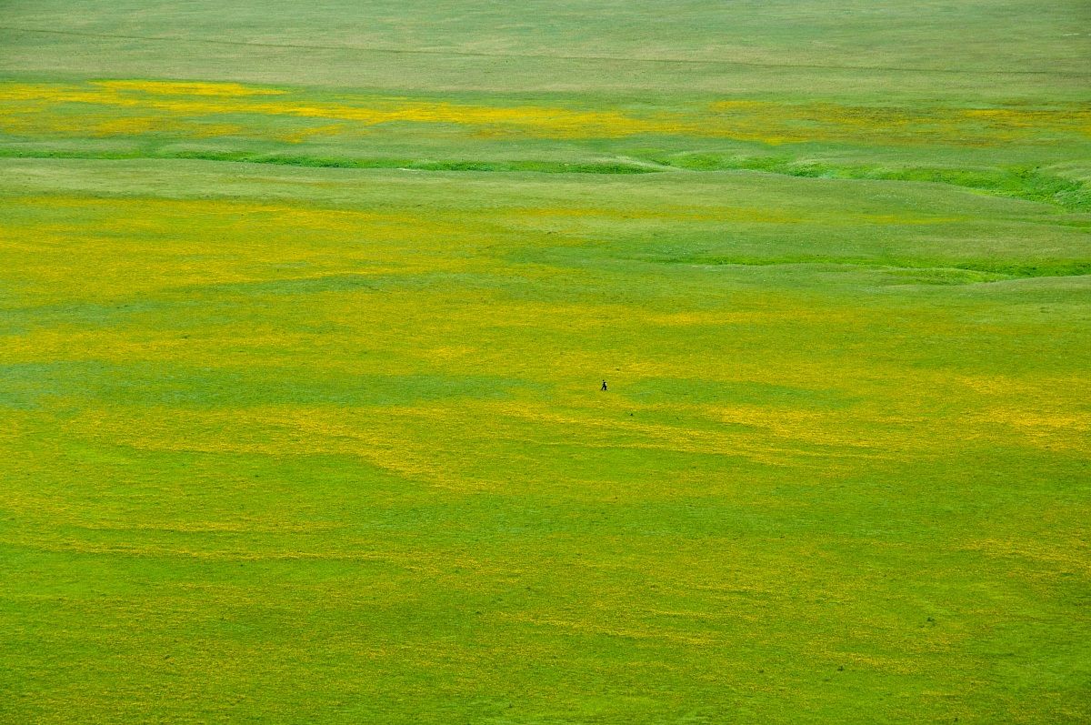 Piana di Castelluccio 2