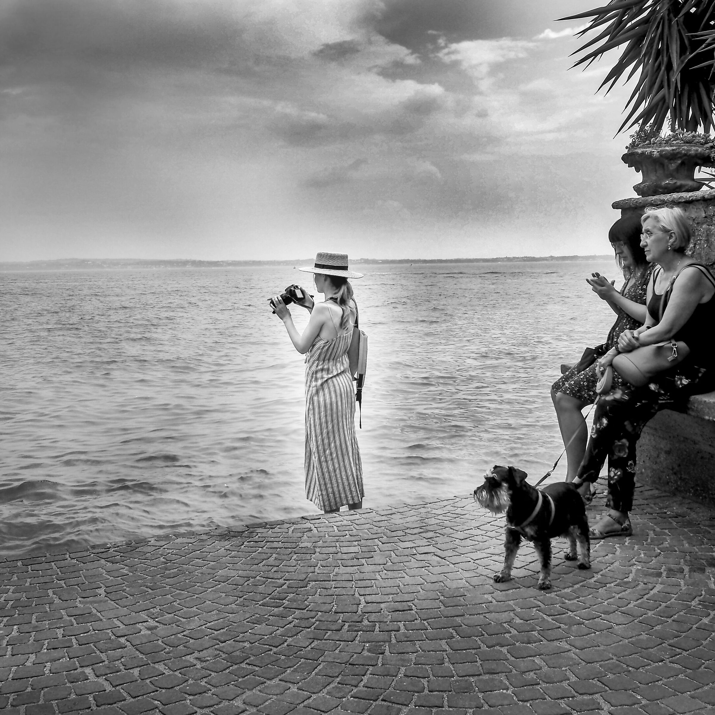 The tourist