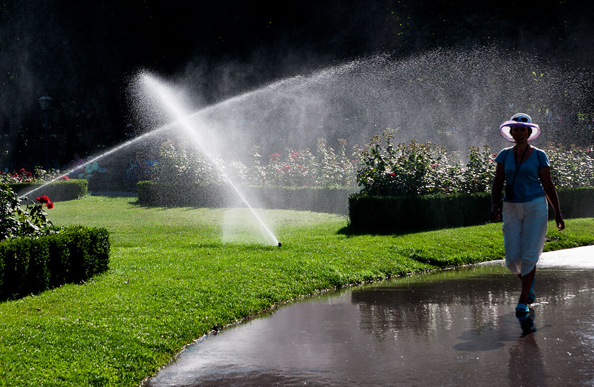 Calde giornate viennesi