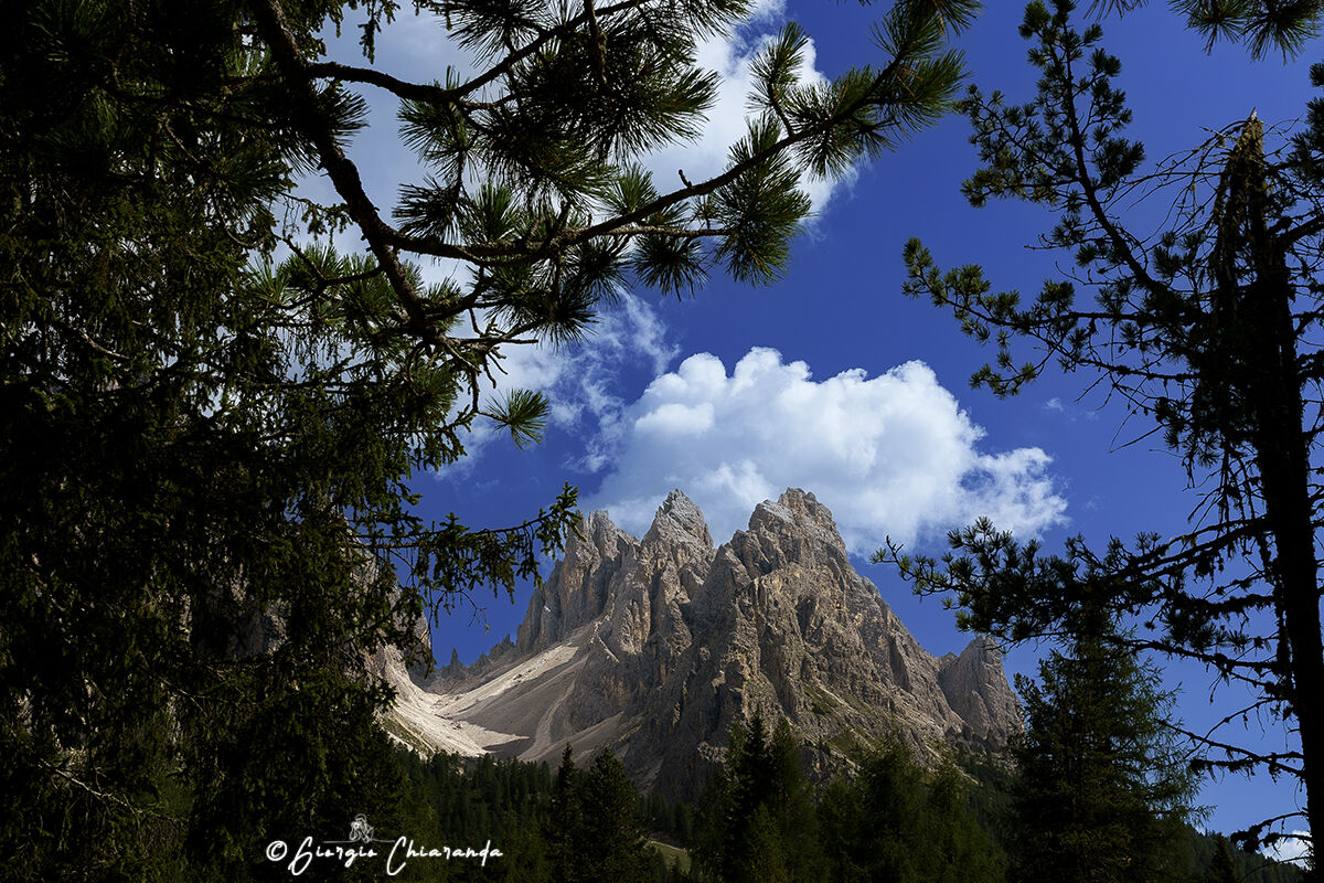 The Cadini of Misurina