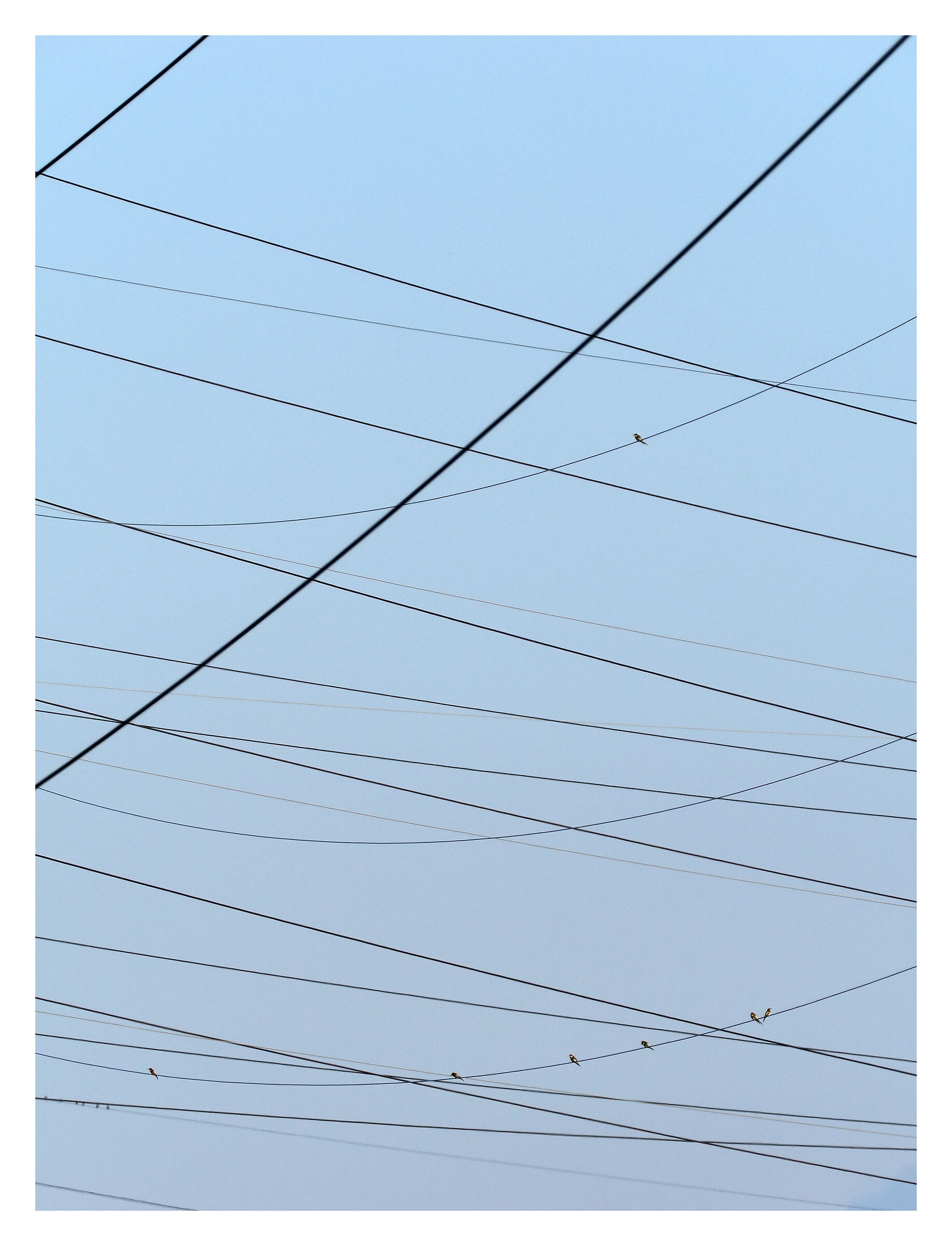 The sky above the rice paddy