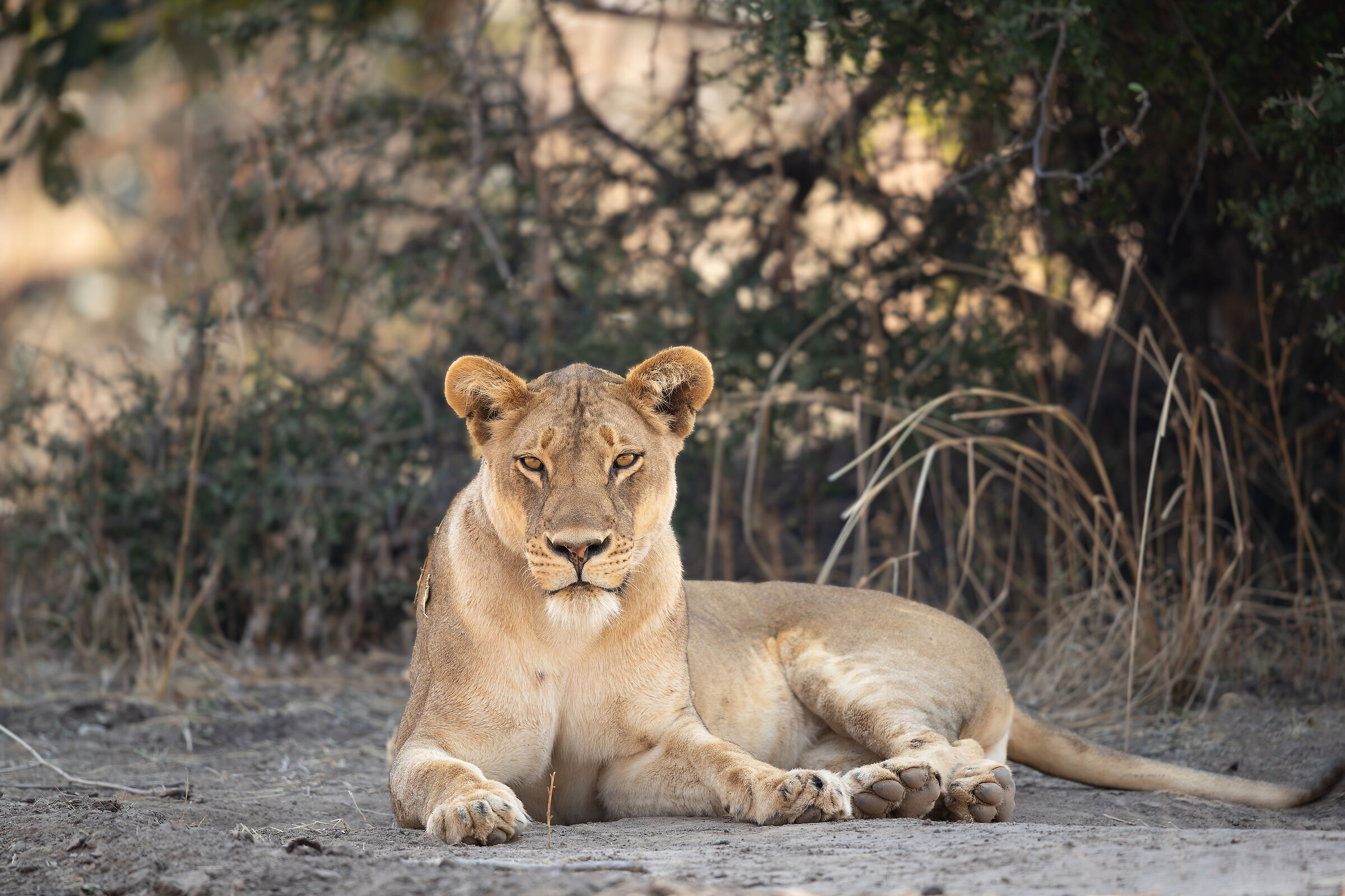 Potere e controllo...