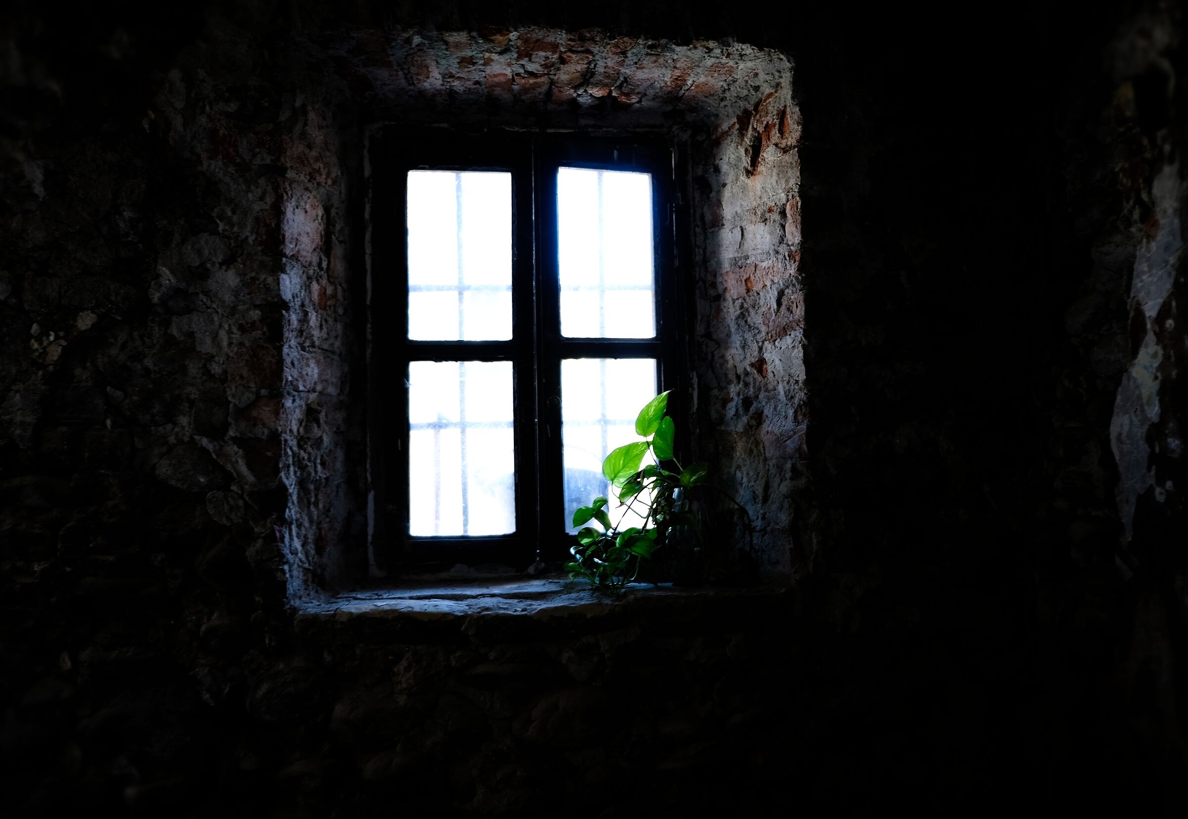 window