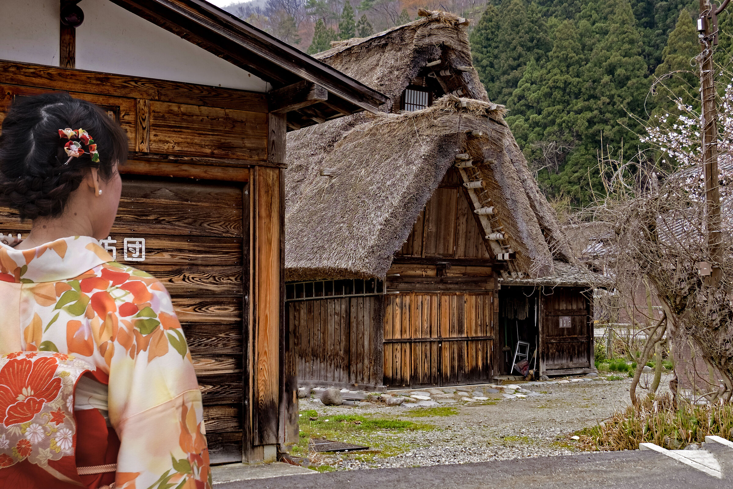 Ancient VillageJapanese