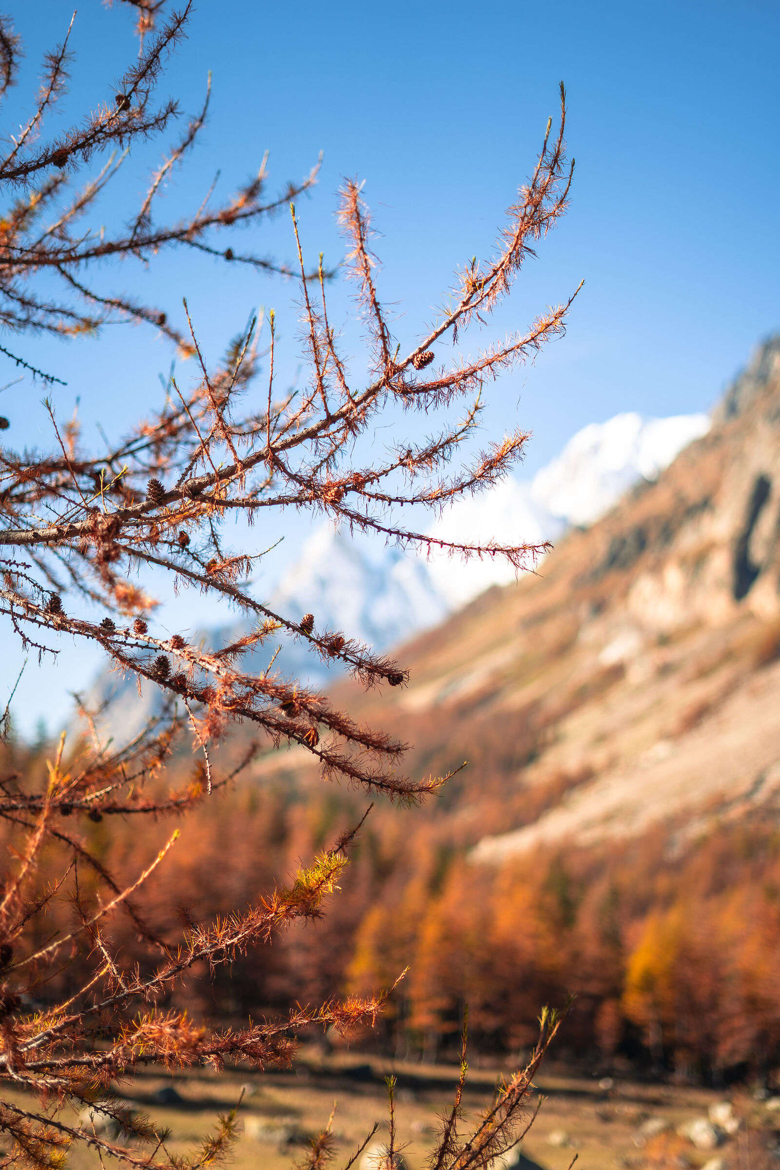 Autunno in val ferret
