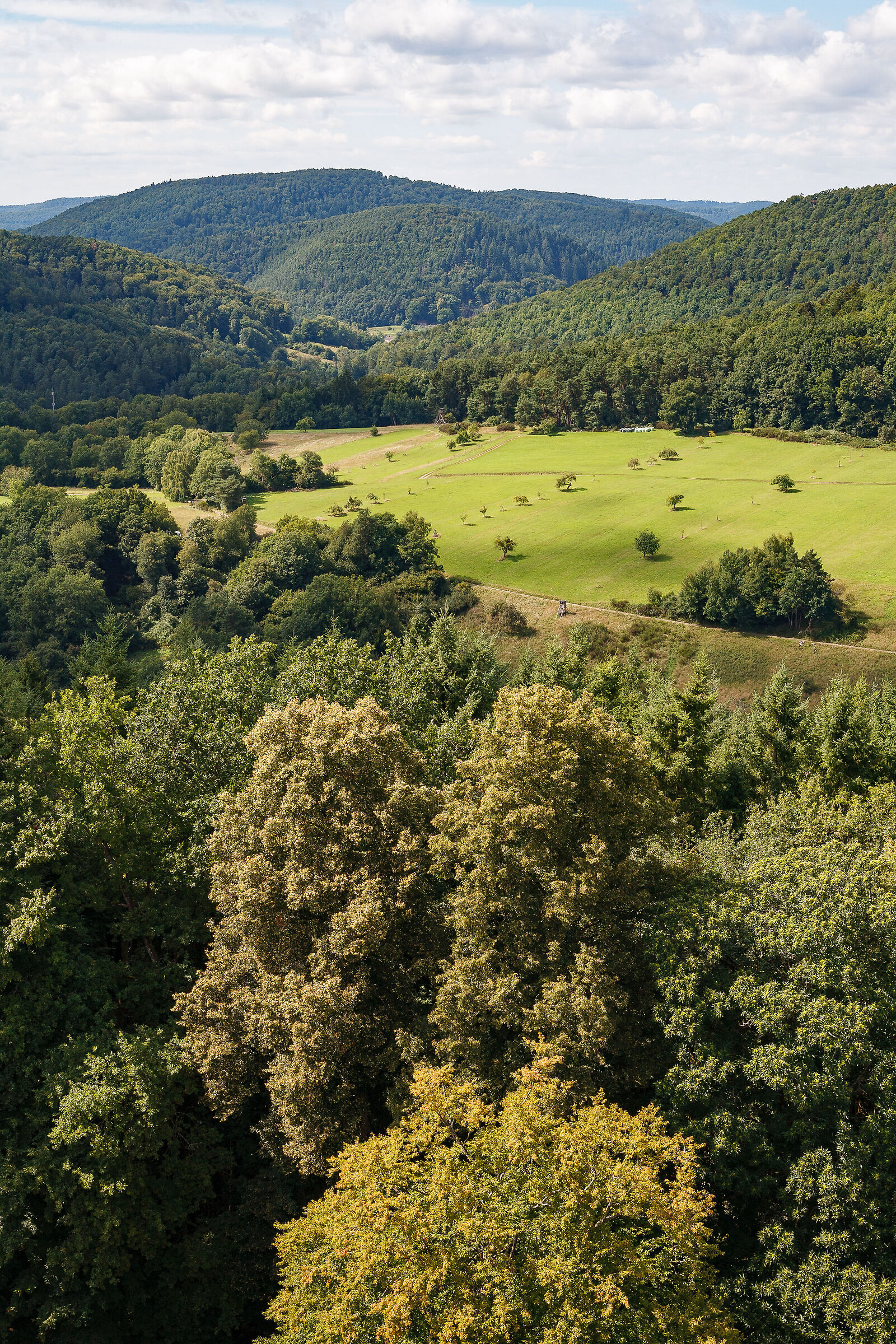 Paesaggio intorno a Flekenstein