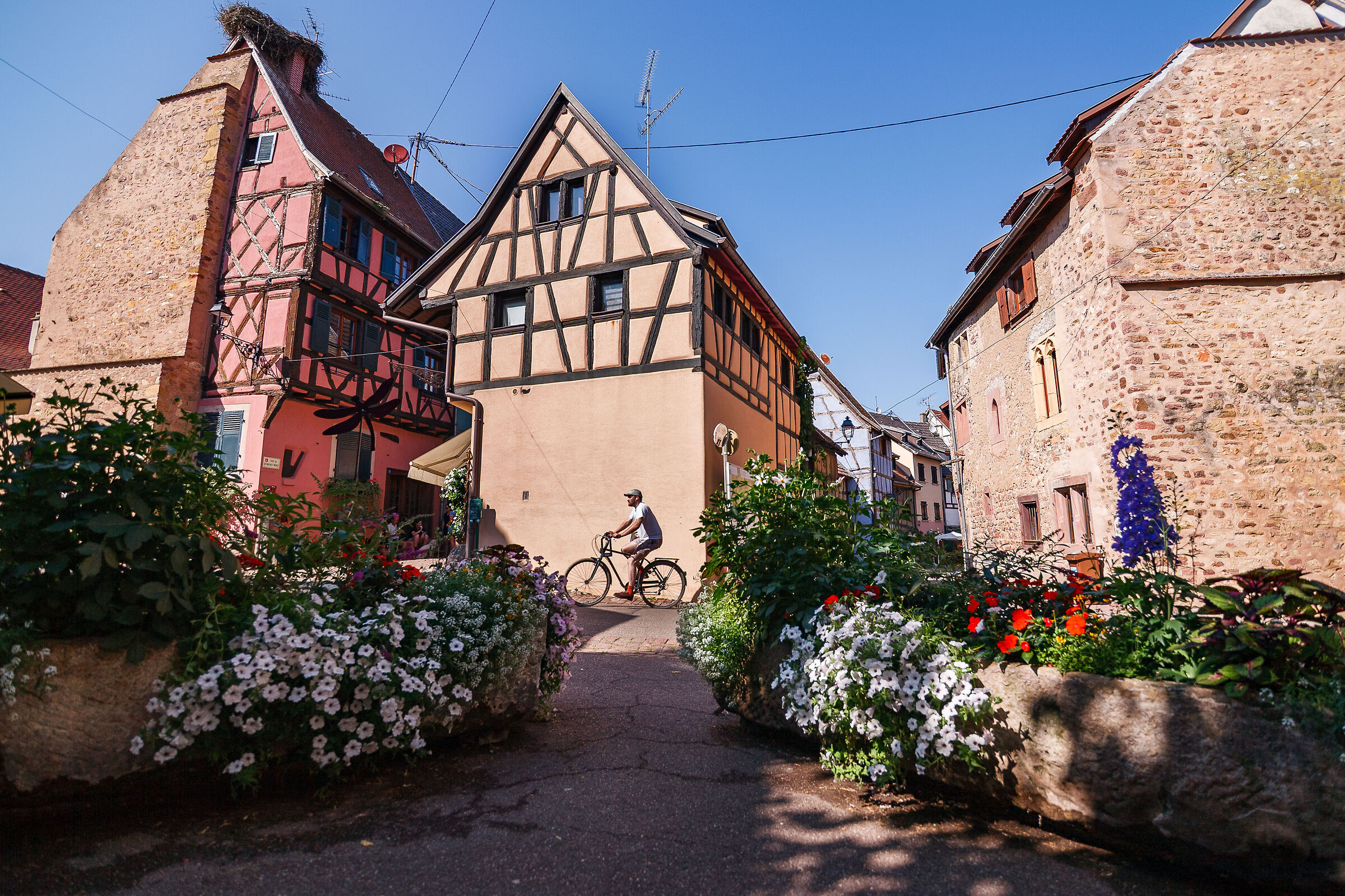 Eguisheim