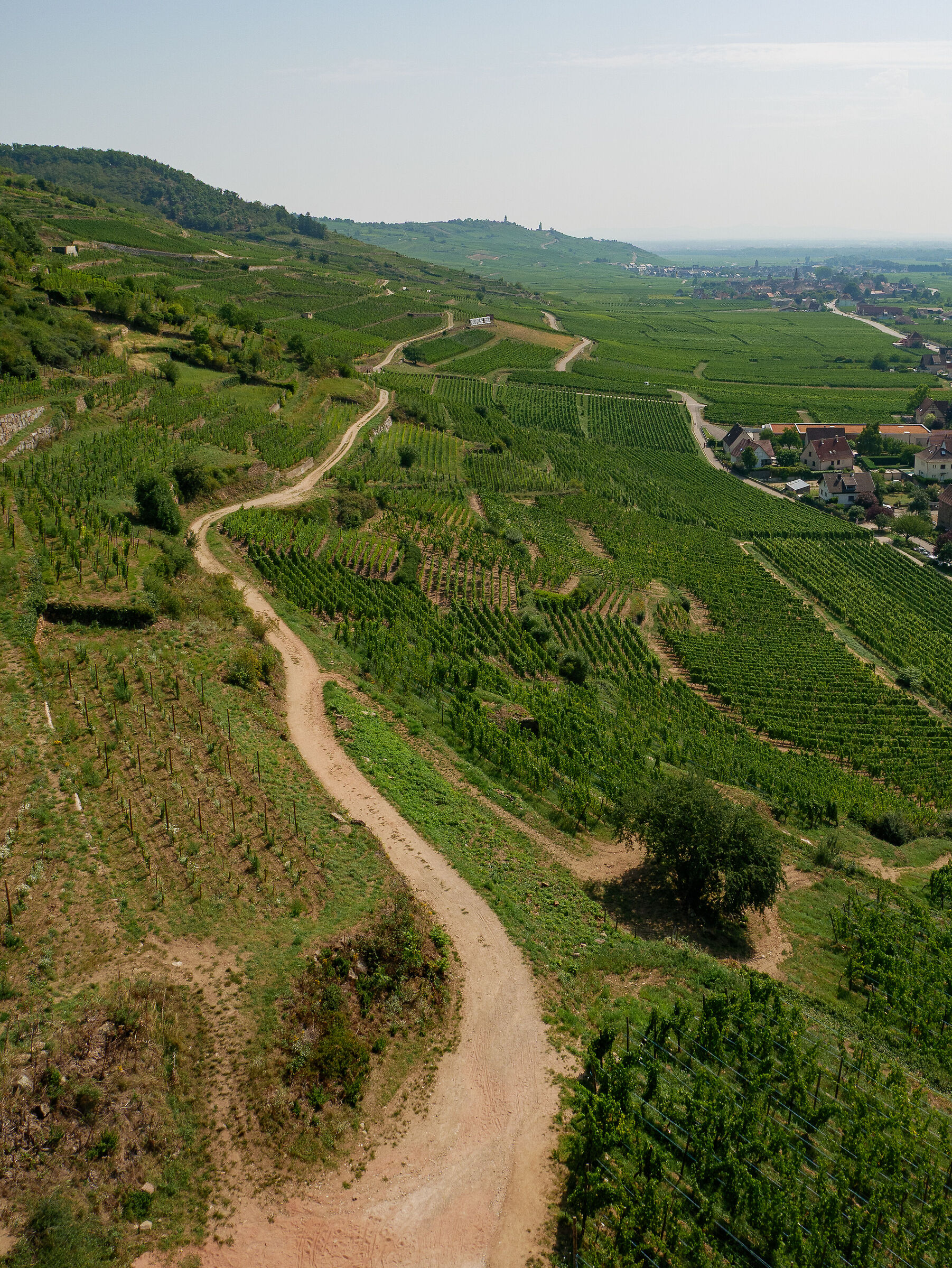 Paesaggio intorno a Kaysersberg