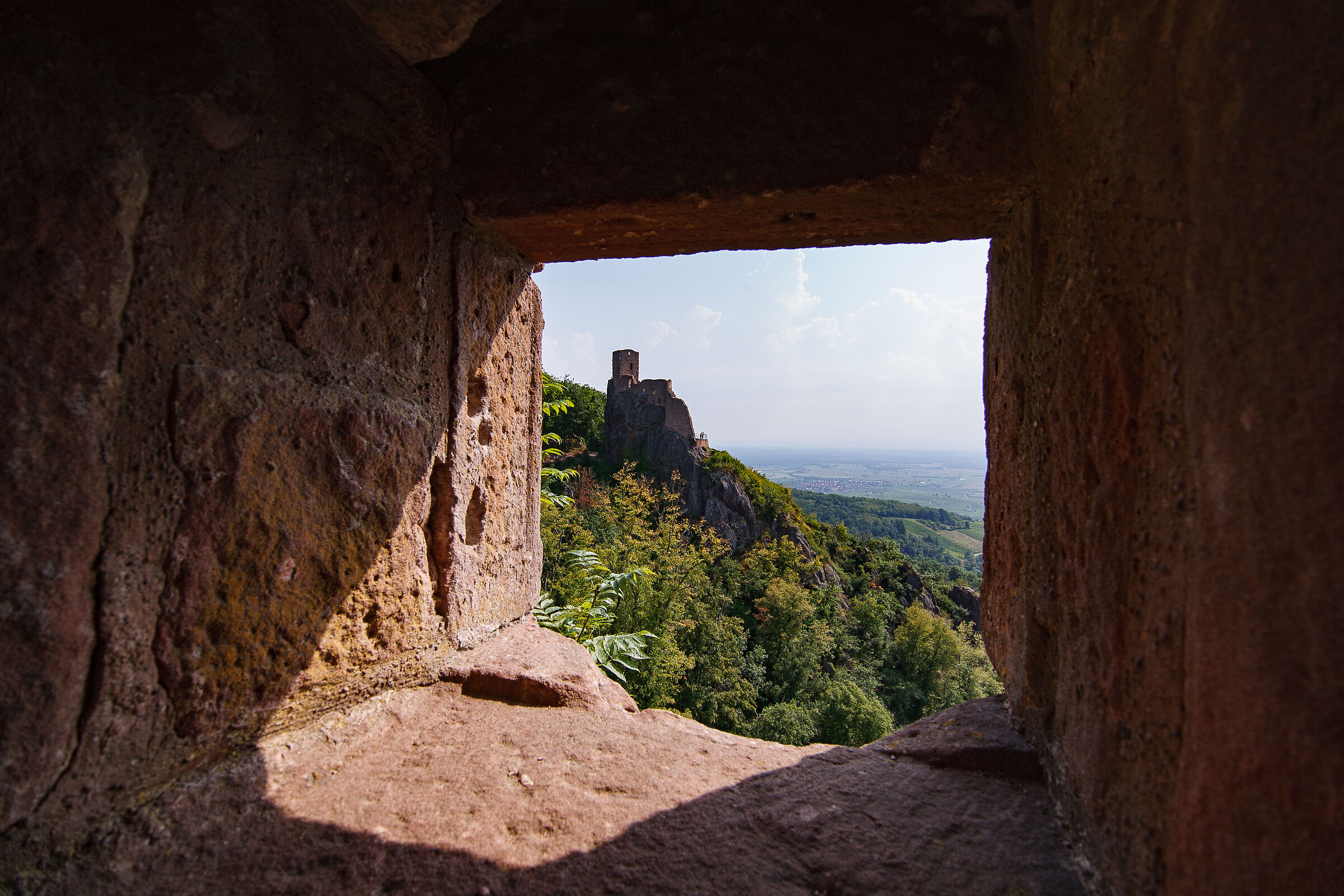 Castello di Ribeauvillé