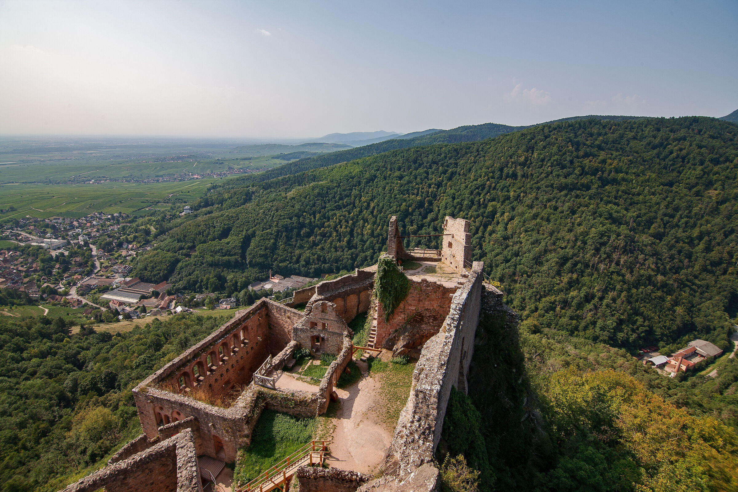 Castello di Ribeauvillé