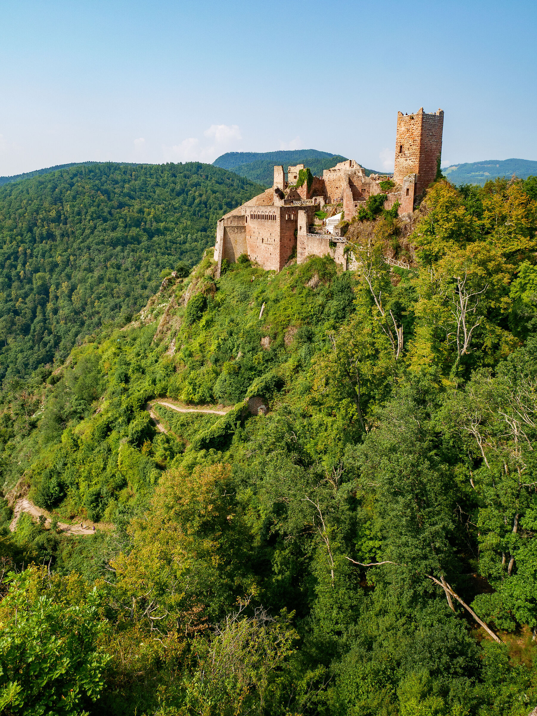 Castello di Ribeauvillé
