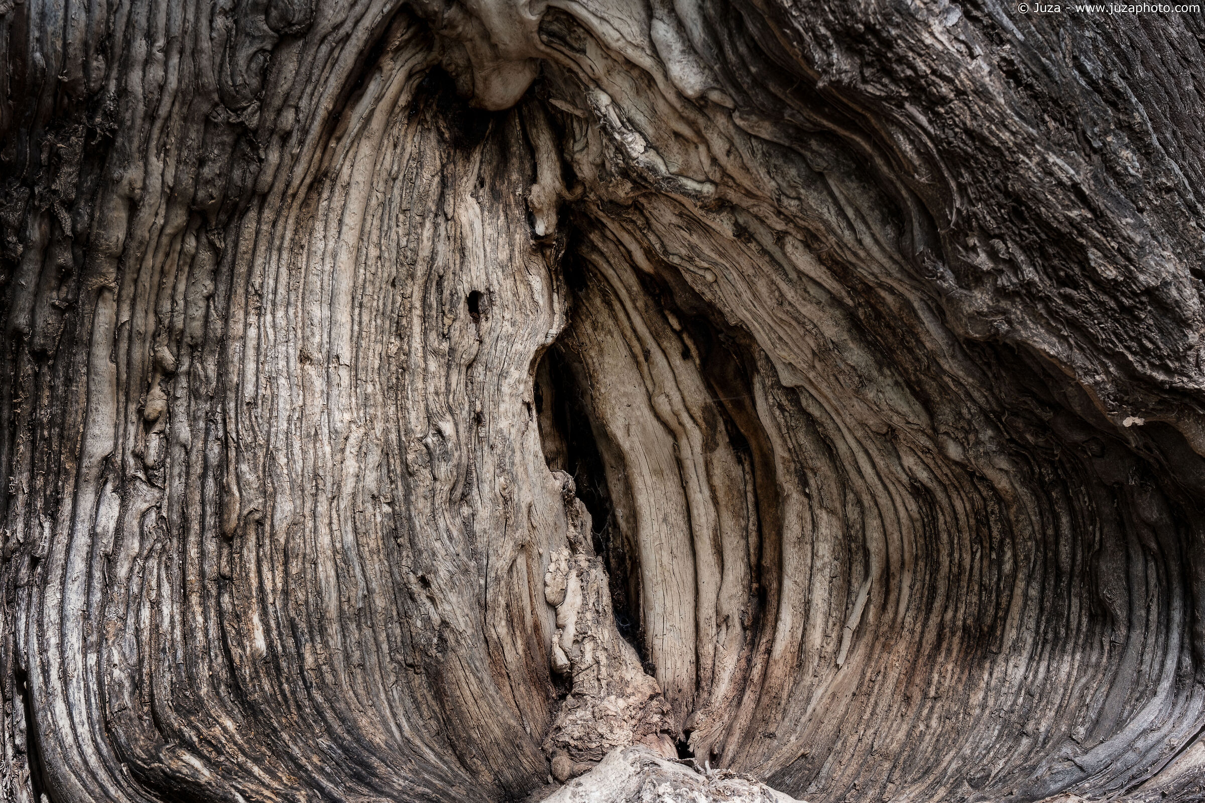 Le forme degli alberi, Imlil