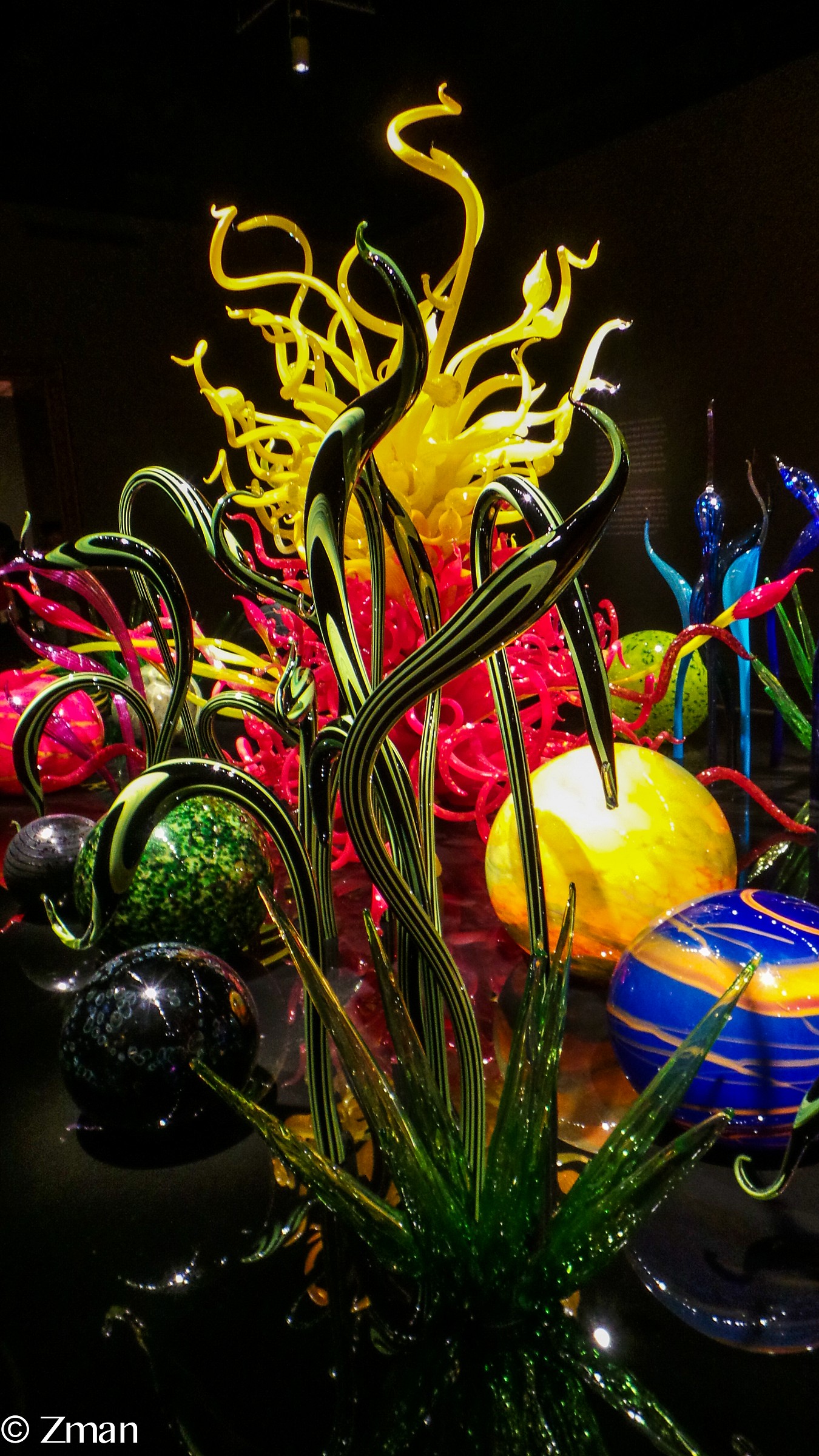 Chihuly Art Work at Montreal Museum Of Fine Art