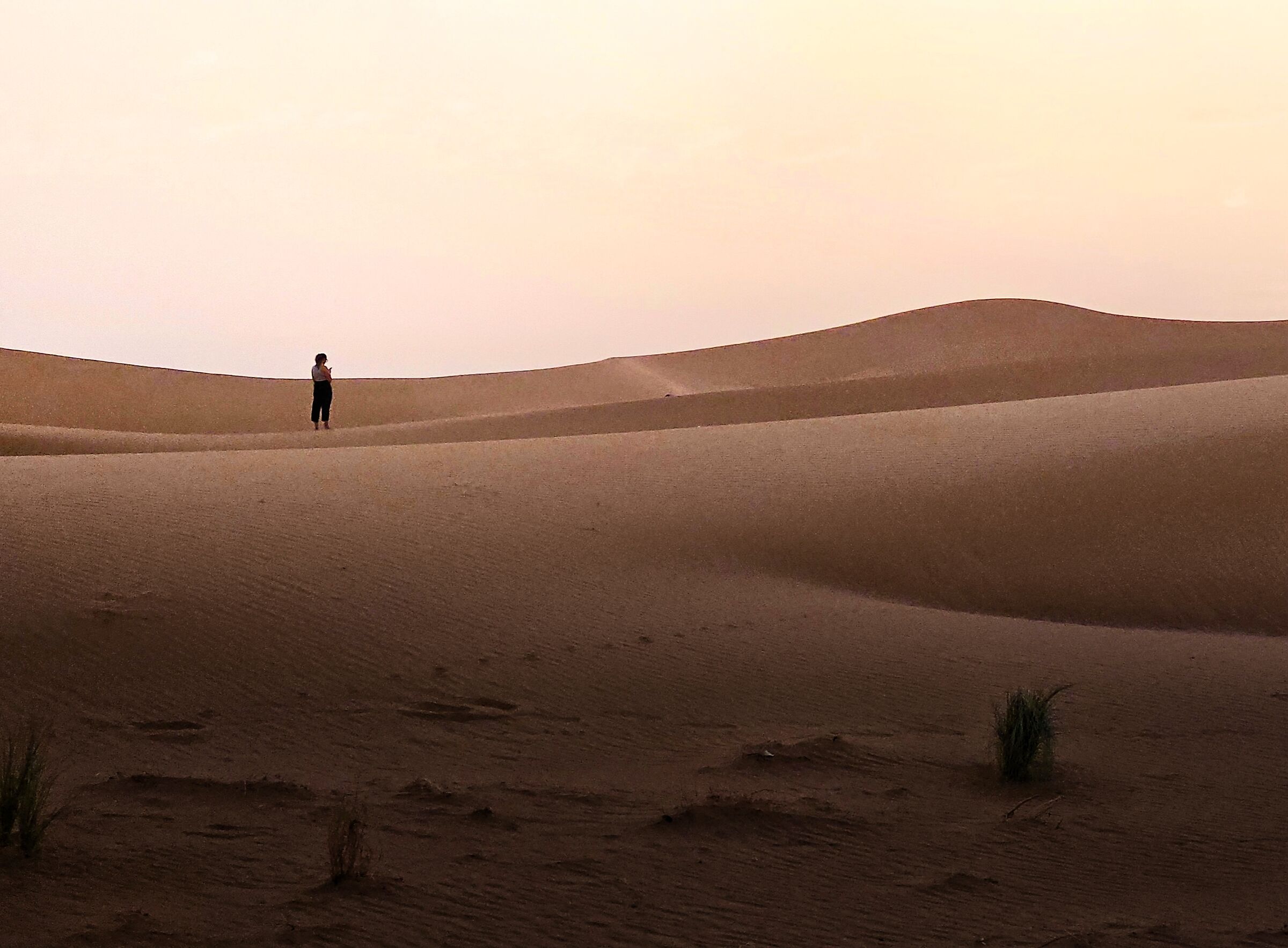 Alba nel deserto