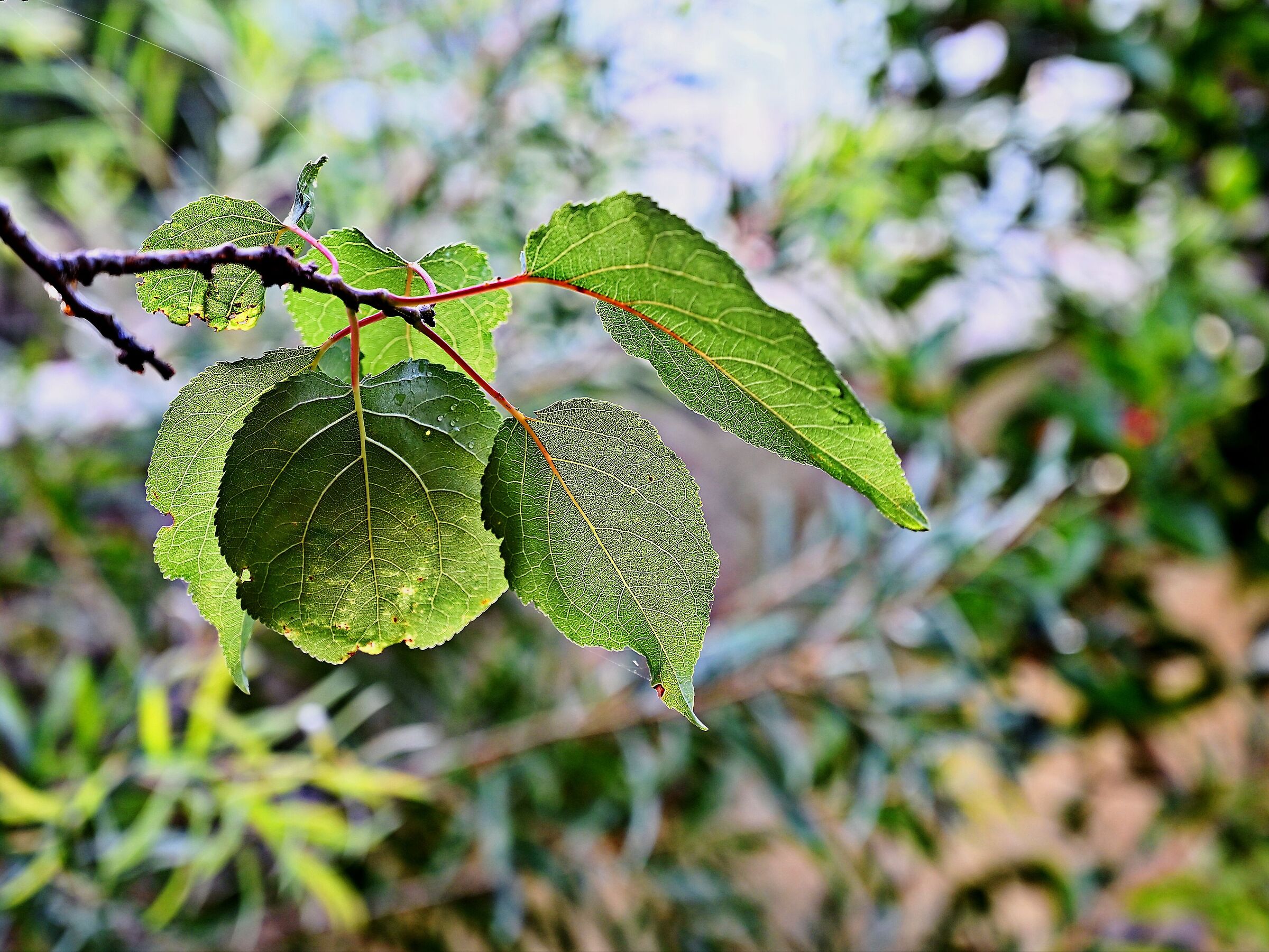 Untitled Photo