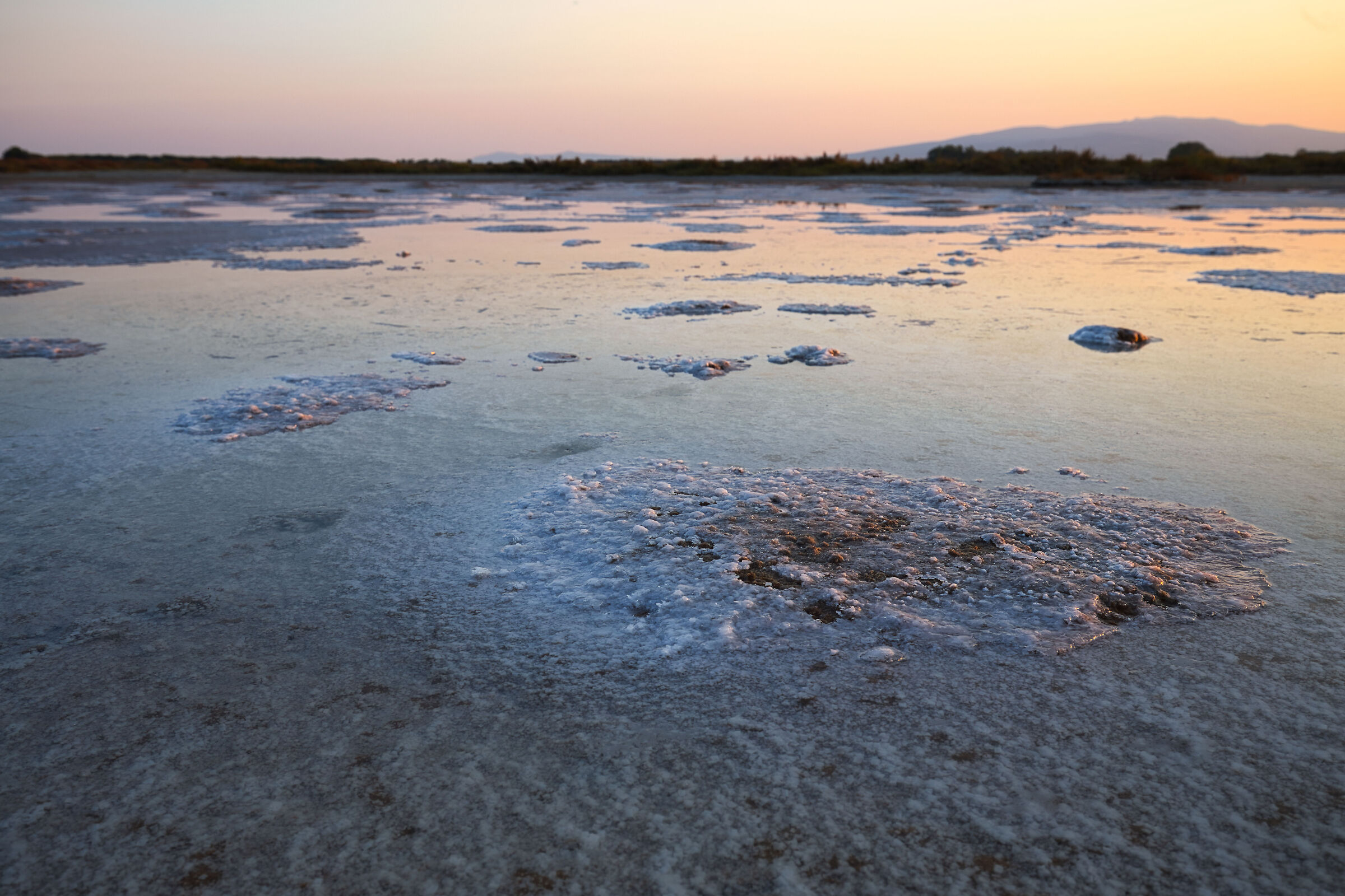 Bruciano molto le ferite di questa terra