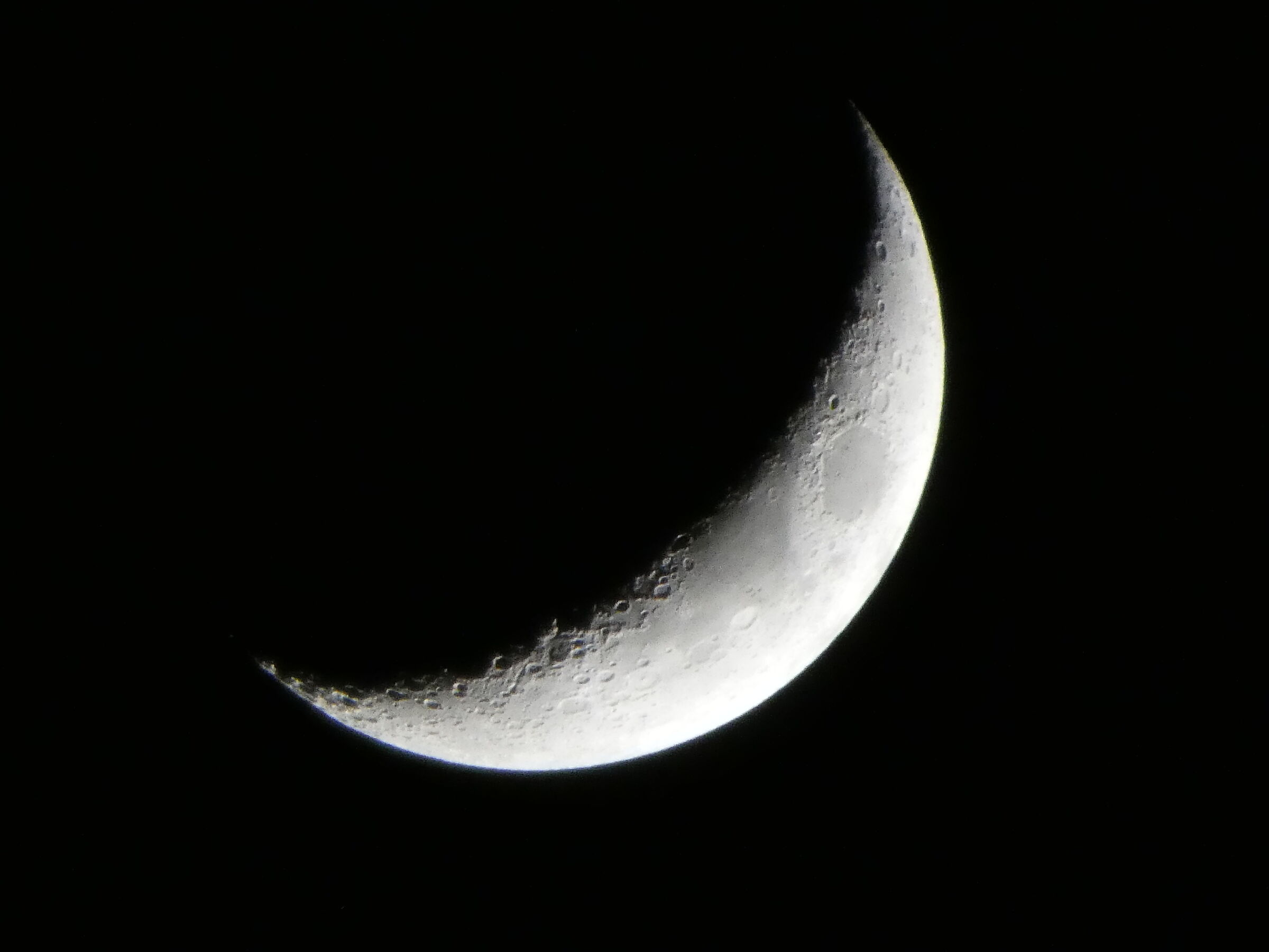 P1000373.JPG
