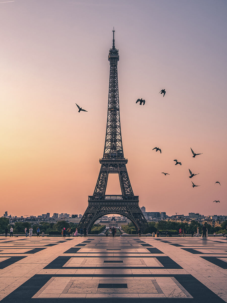 La Dame de Fer - Paris (France)