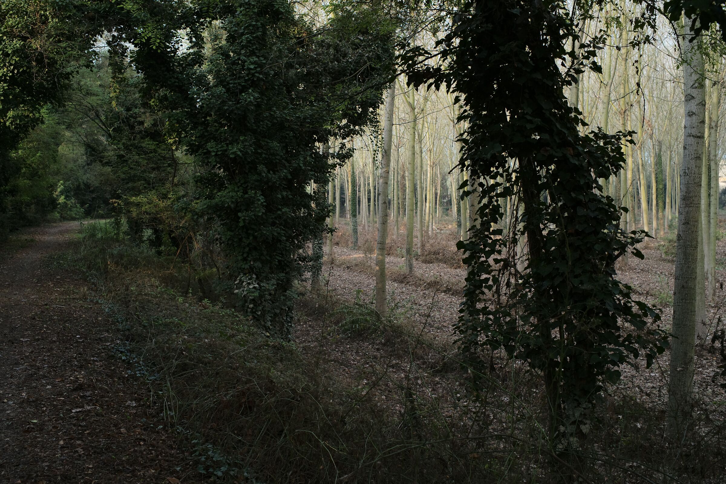 Strada Mezzana, early morning