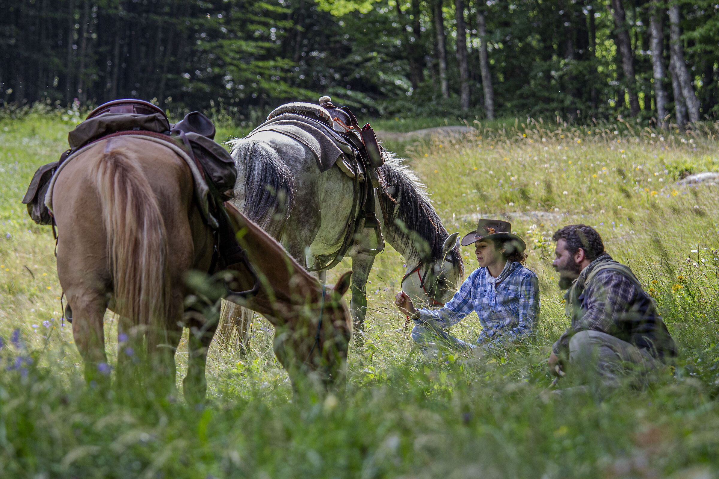 Prati della Burraia, Falterona alto Casentino, AR