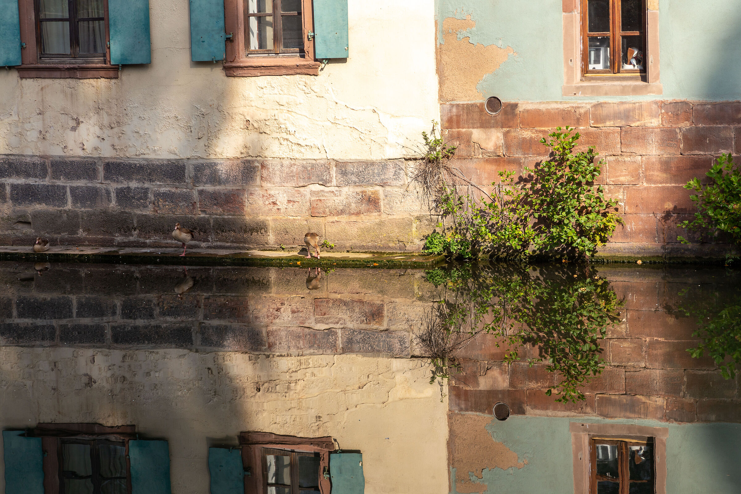 Reflections 1
