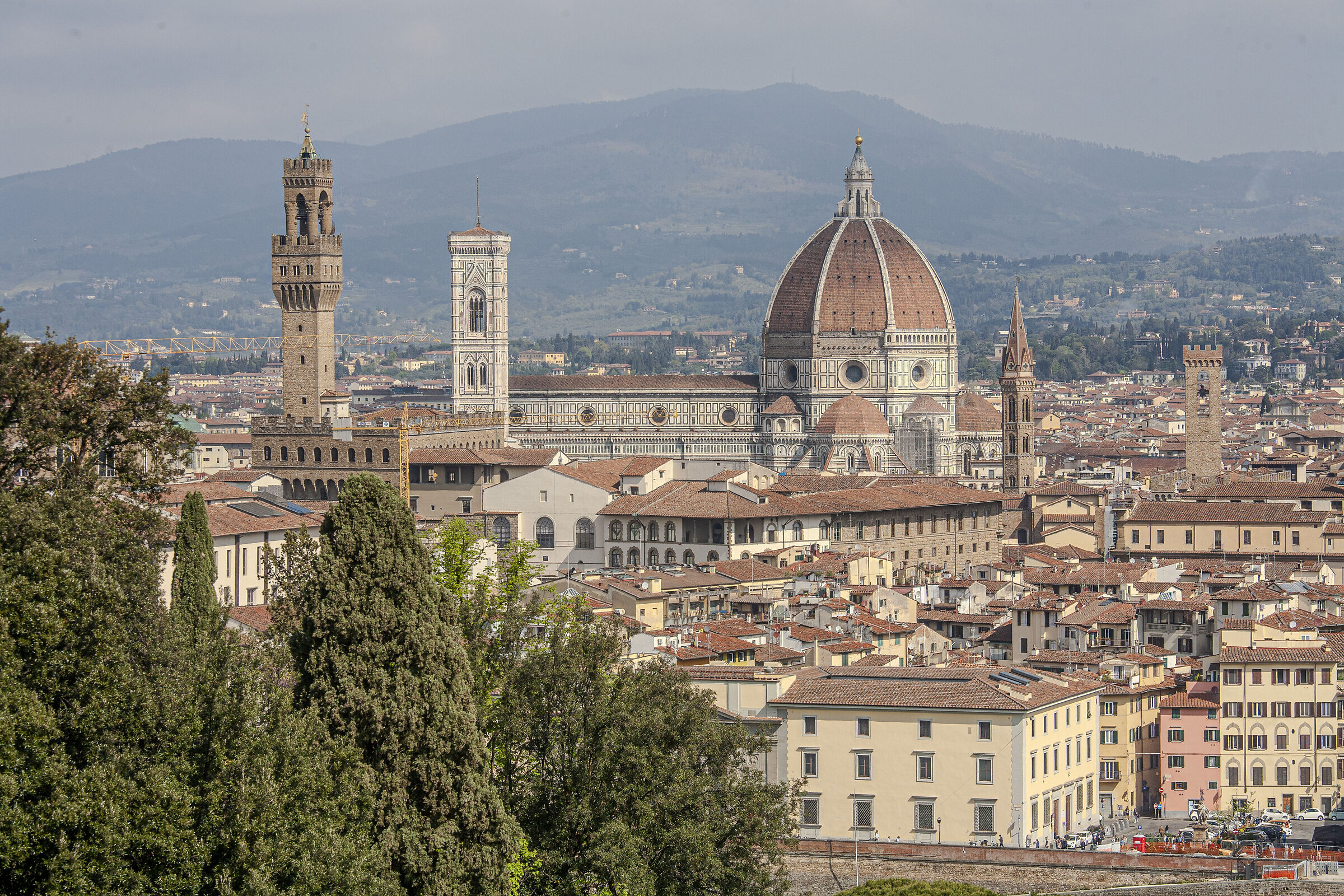 Firenze
