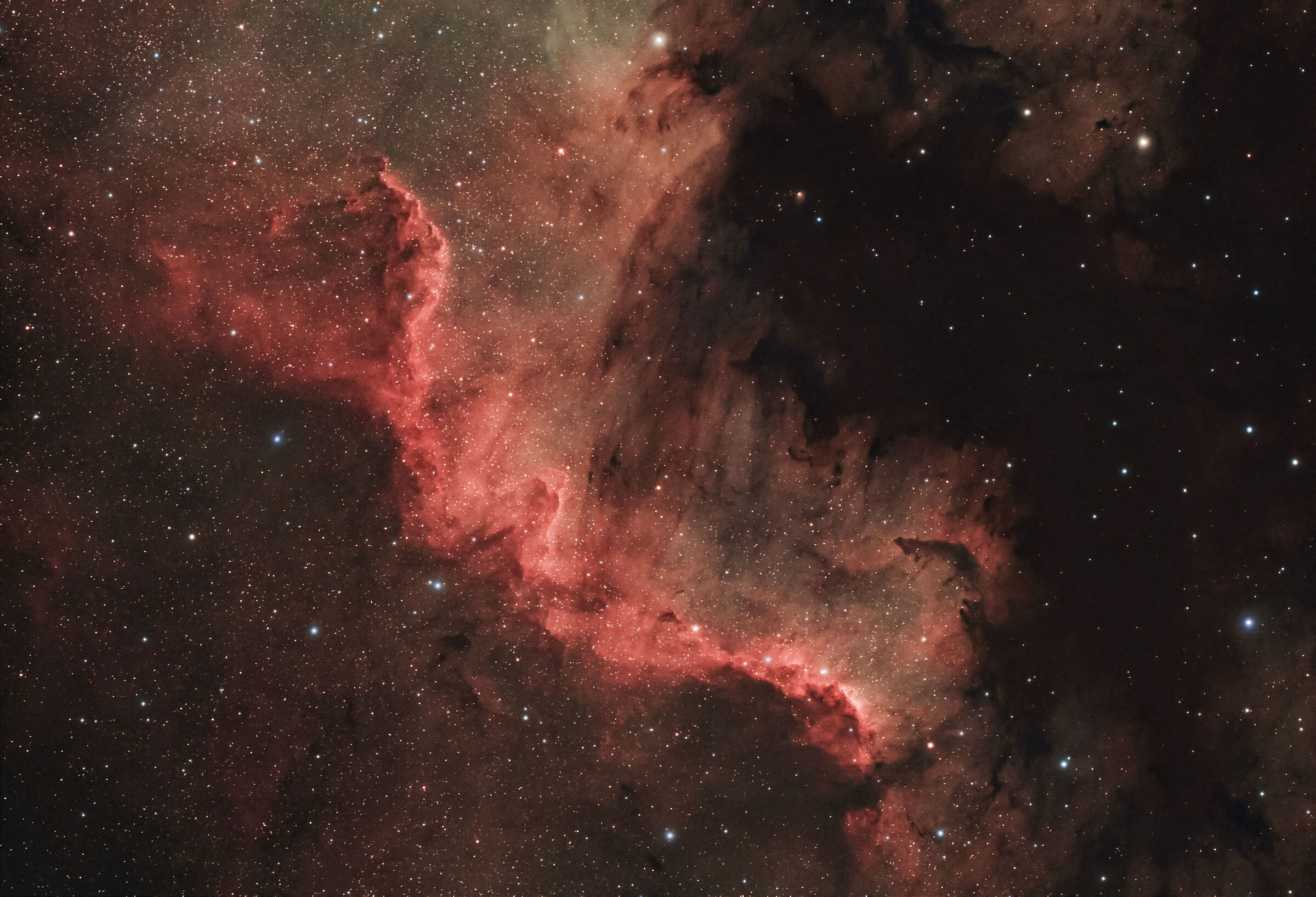 NGC7000 'Cygnus Wall'