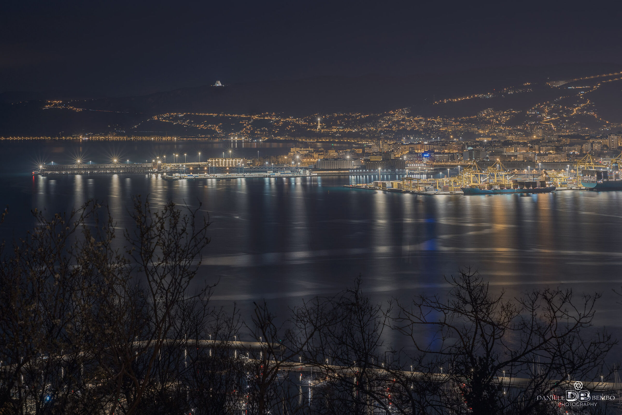 Panorama of the port of Trieste