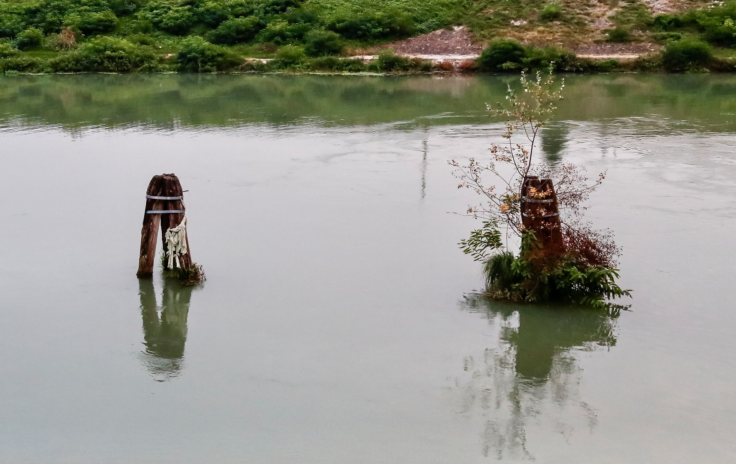 La Stracciona e la Vanitosa