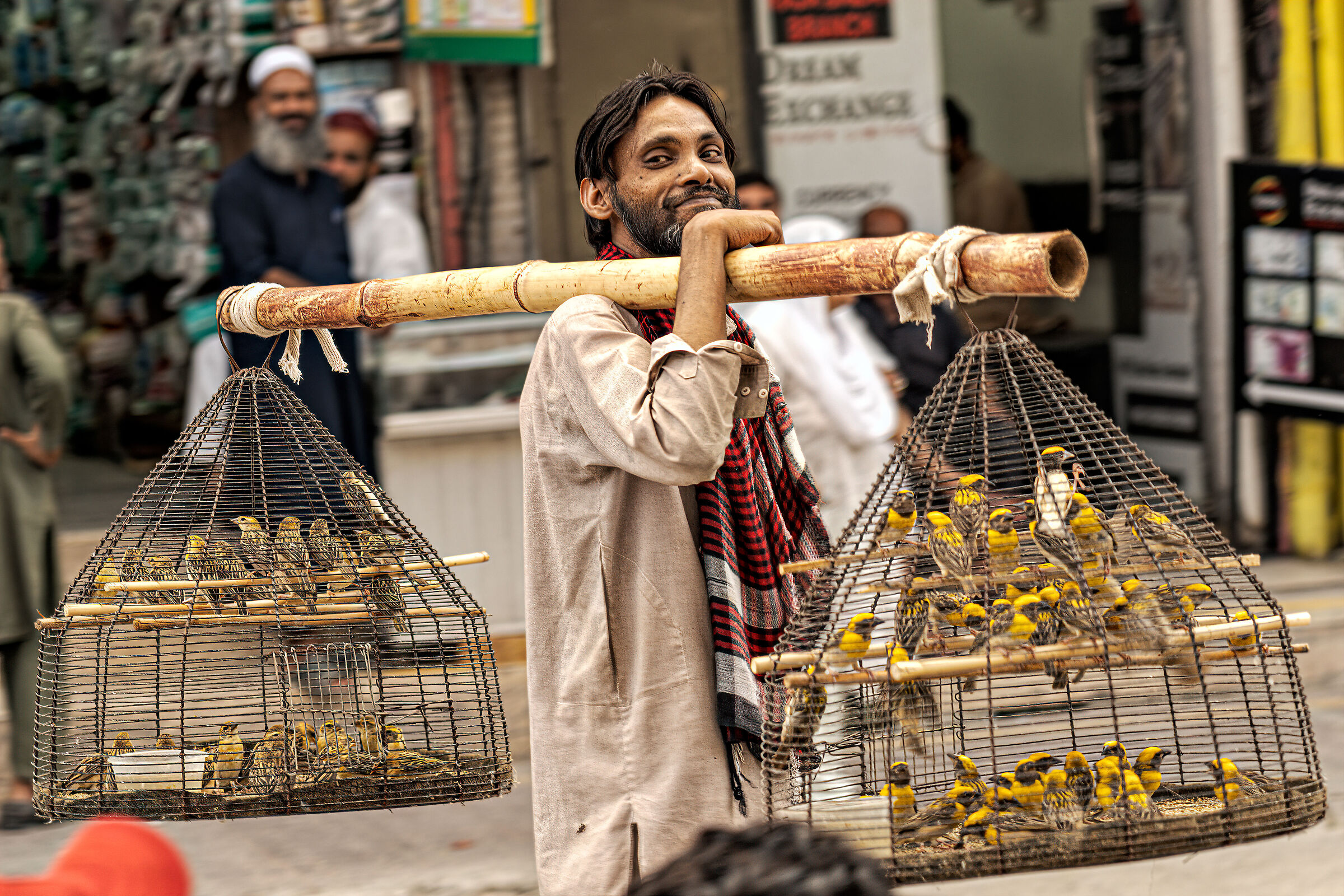 Rawalpindi, il venditore di uccellini.