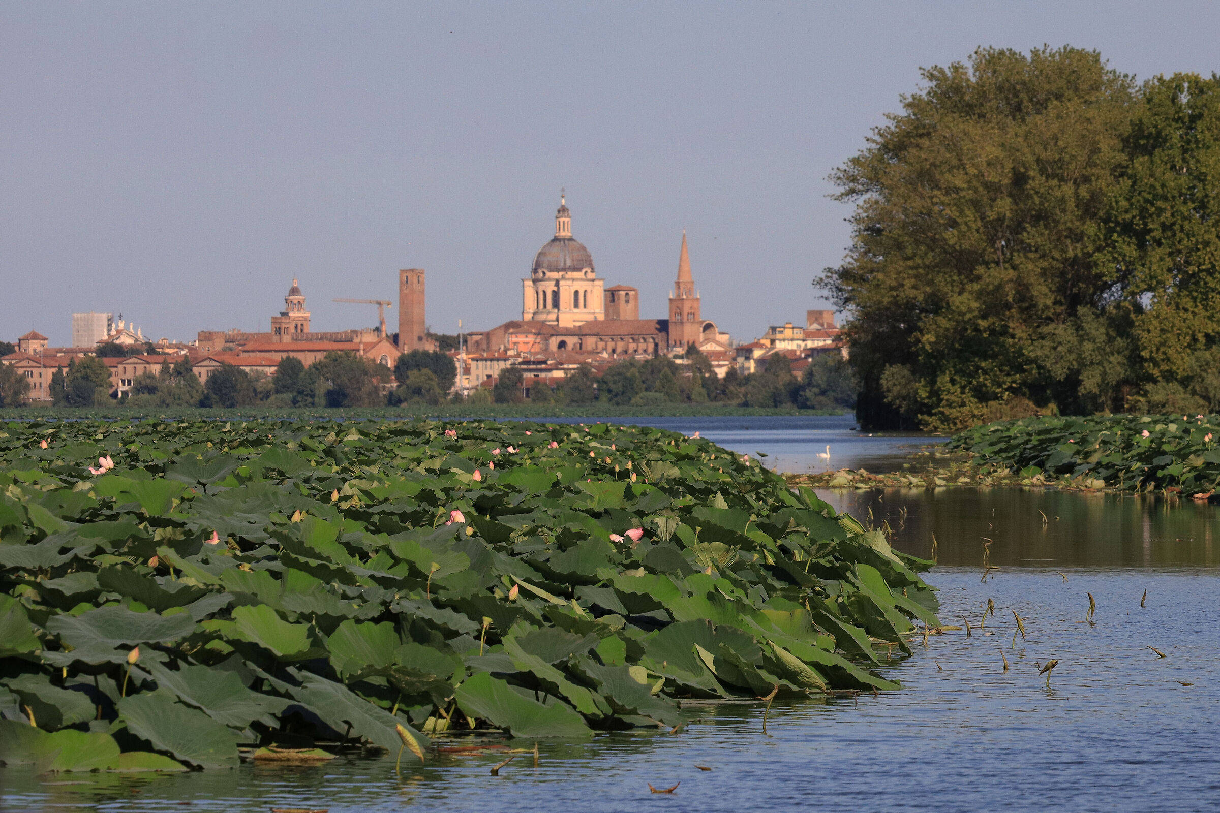 Mantova e il lago superiore