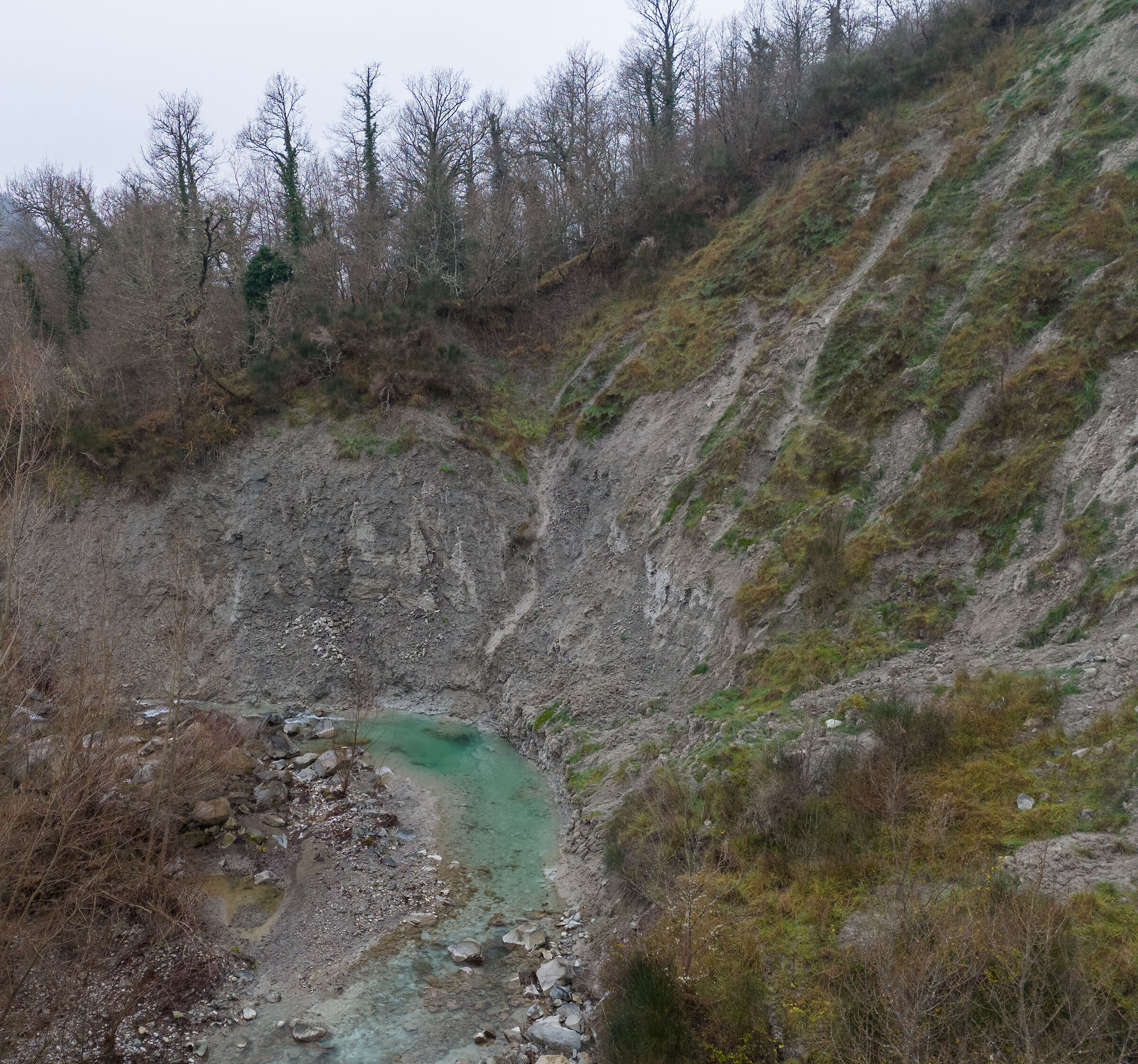 Stridolone 6