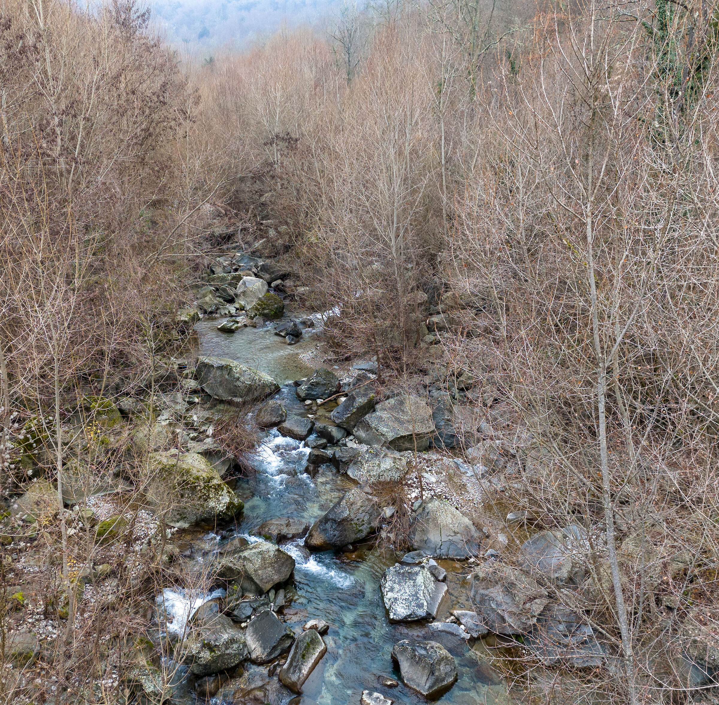 Stridolone 7