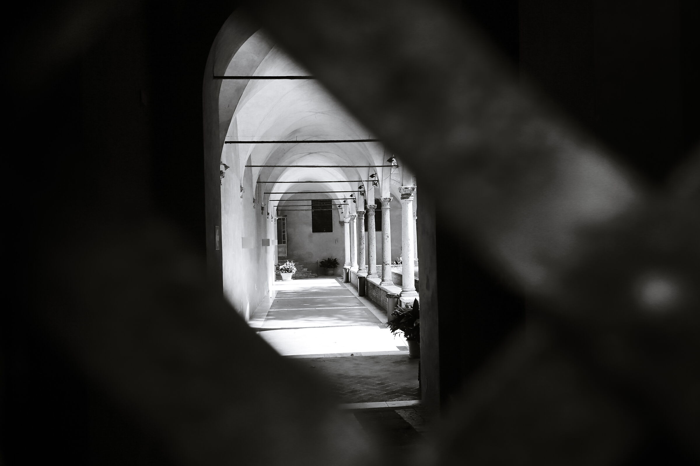 Biblioteca Università di Siena
