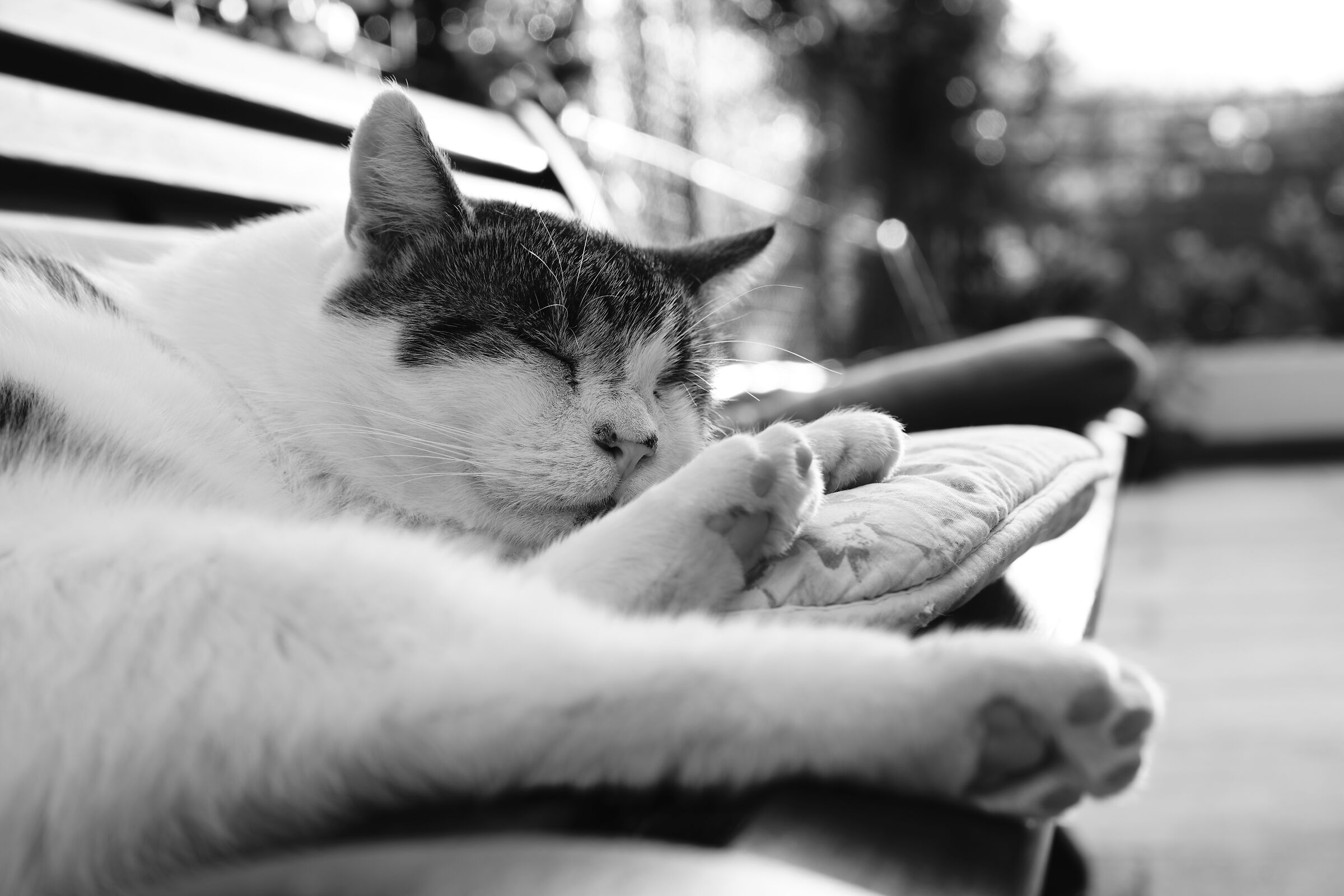 moments of relaxation
