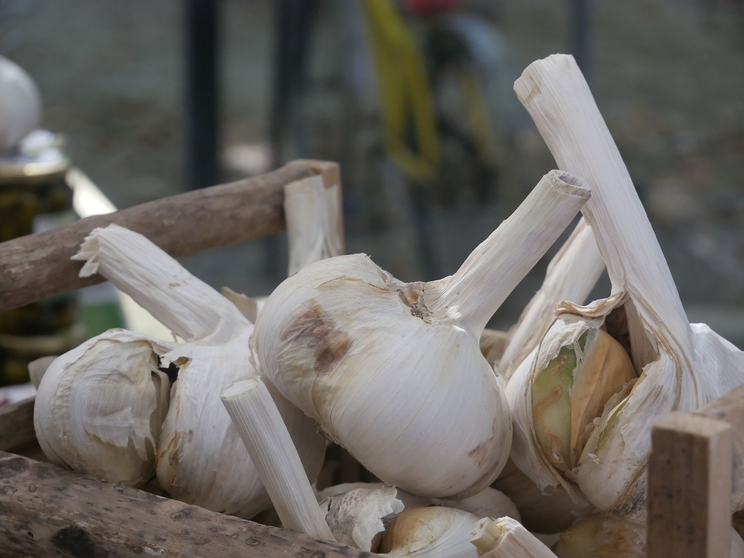 For those who are afraid of vampires