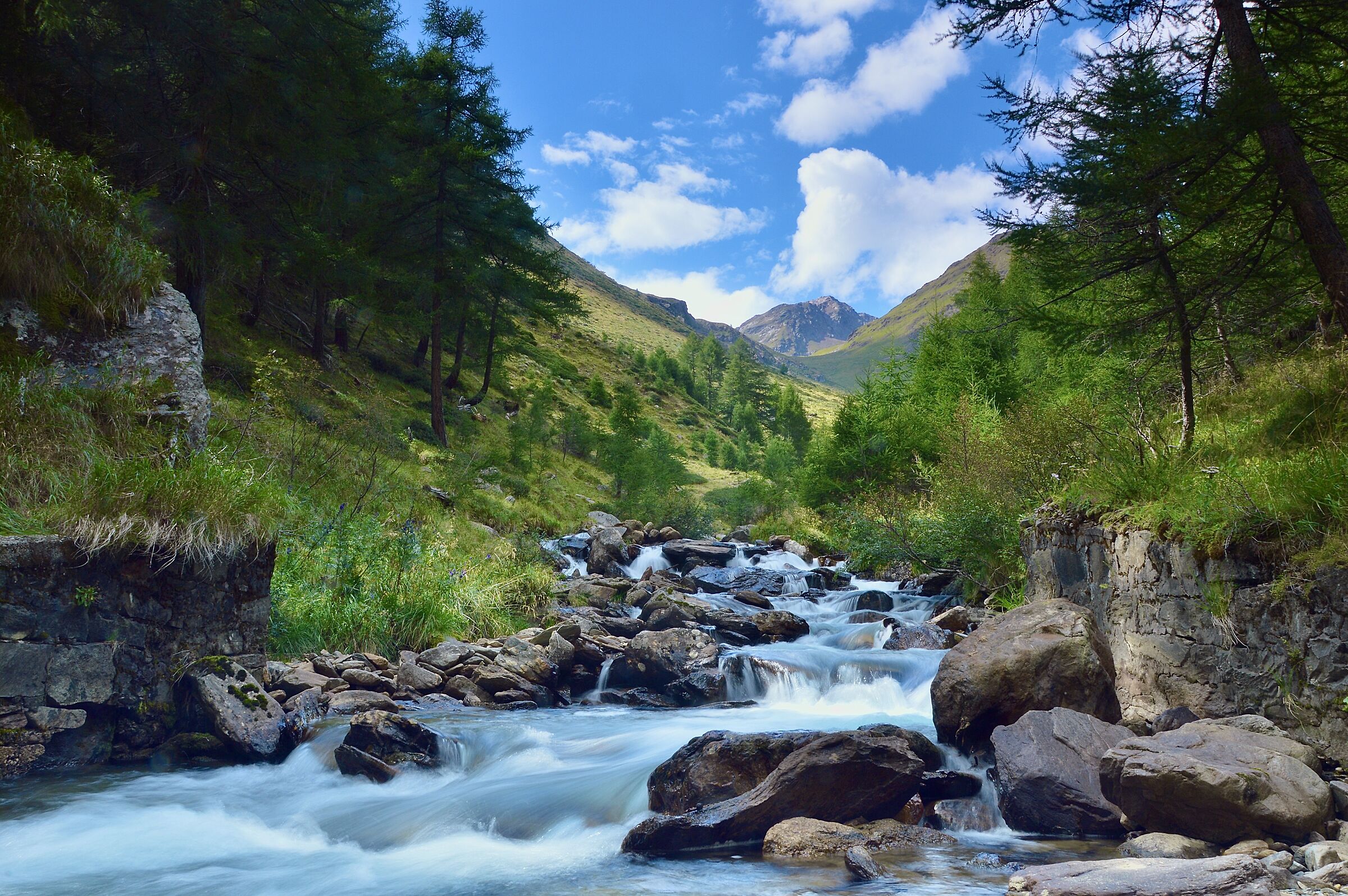 Valley of the Harvests. Wooden Bridge (BS)