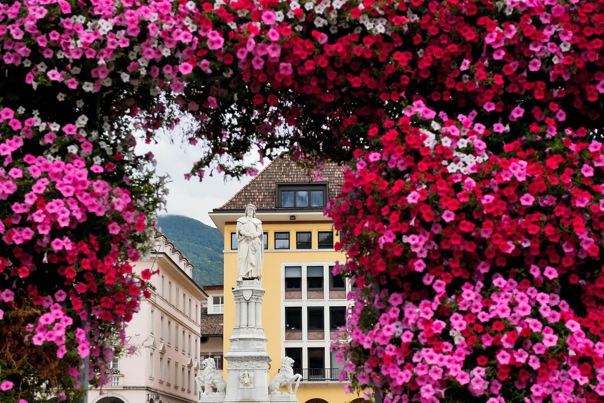 Bolzano, piazza Walther von der Vogelweide