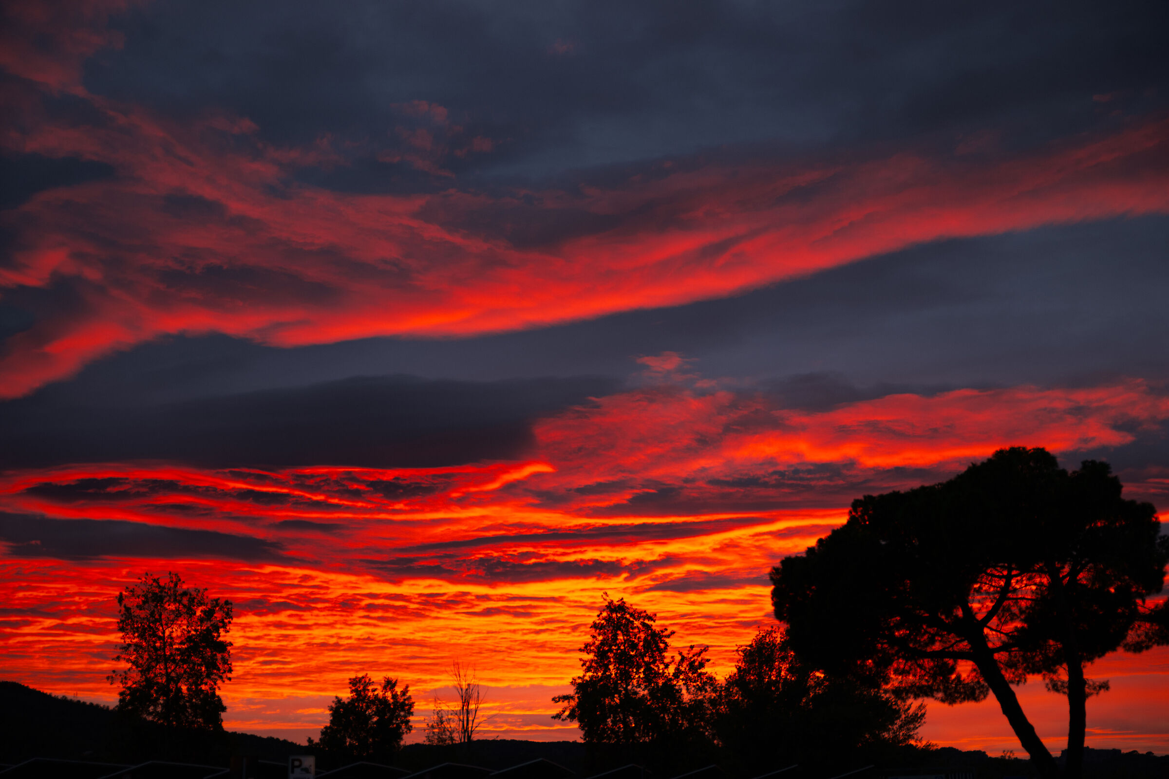 The sunset