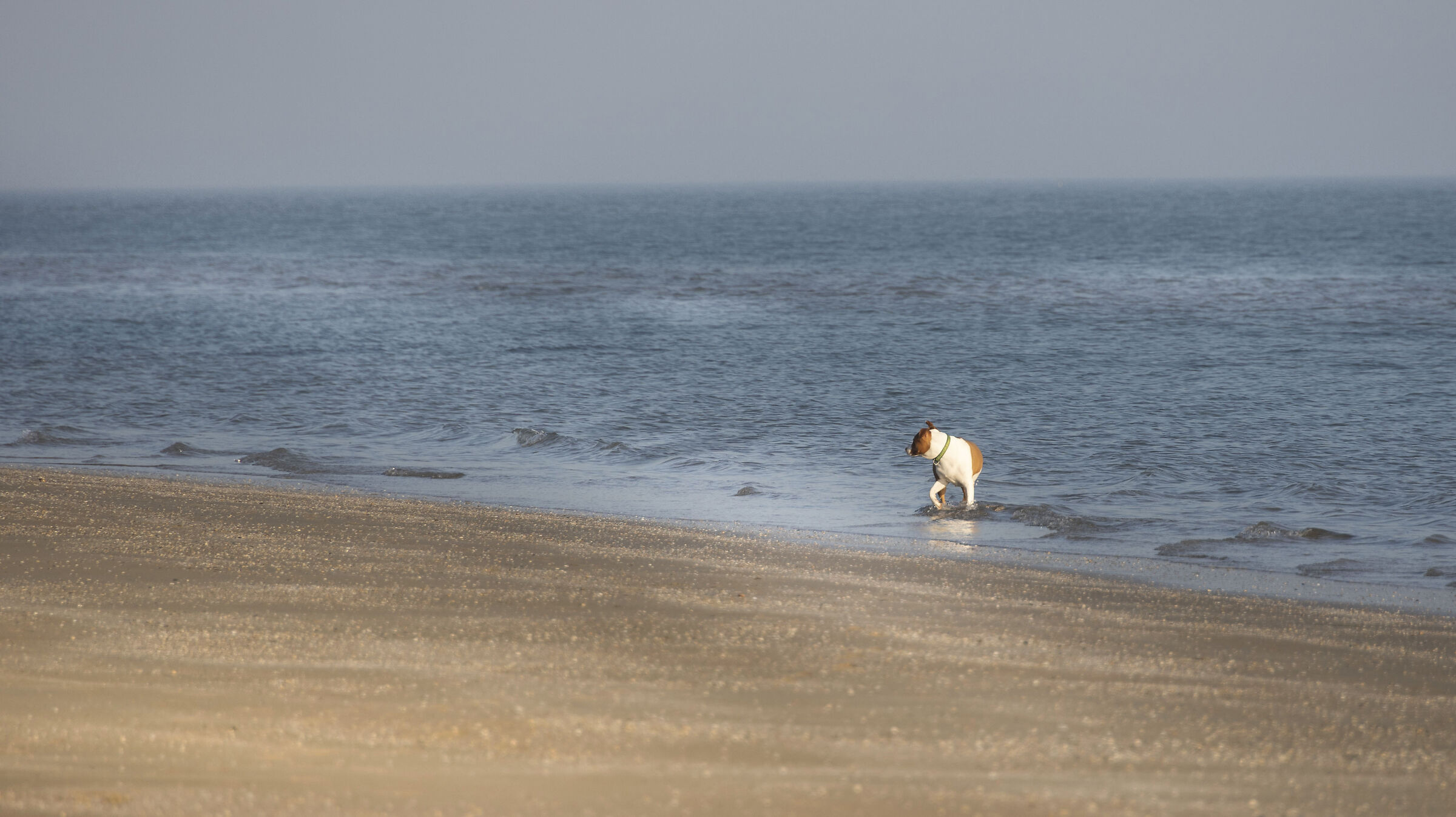 by the sea
