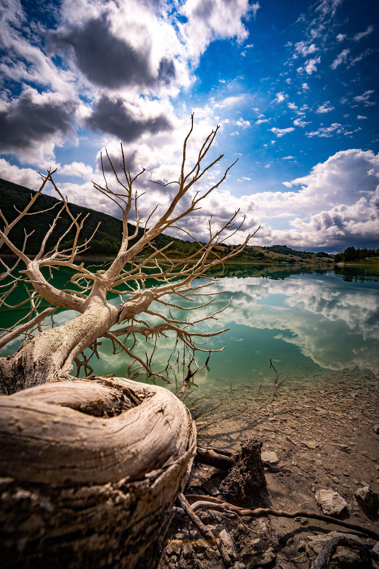 Uno sguardo sul lago