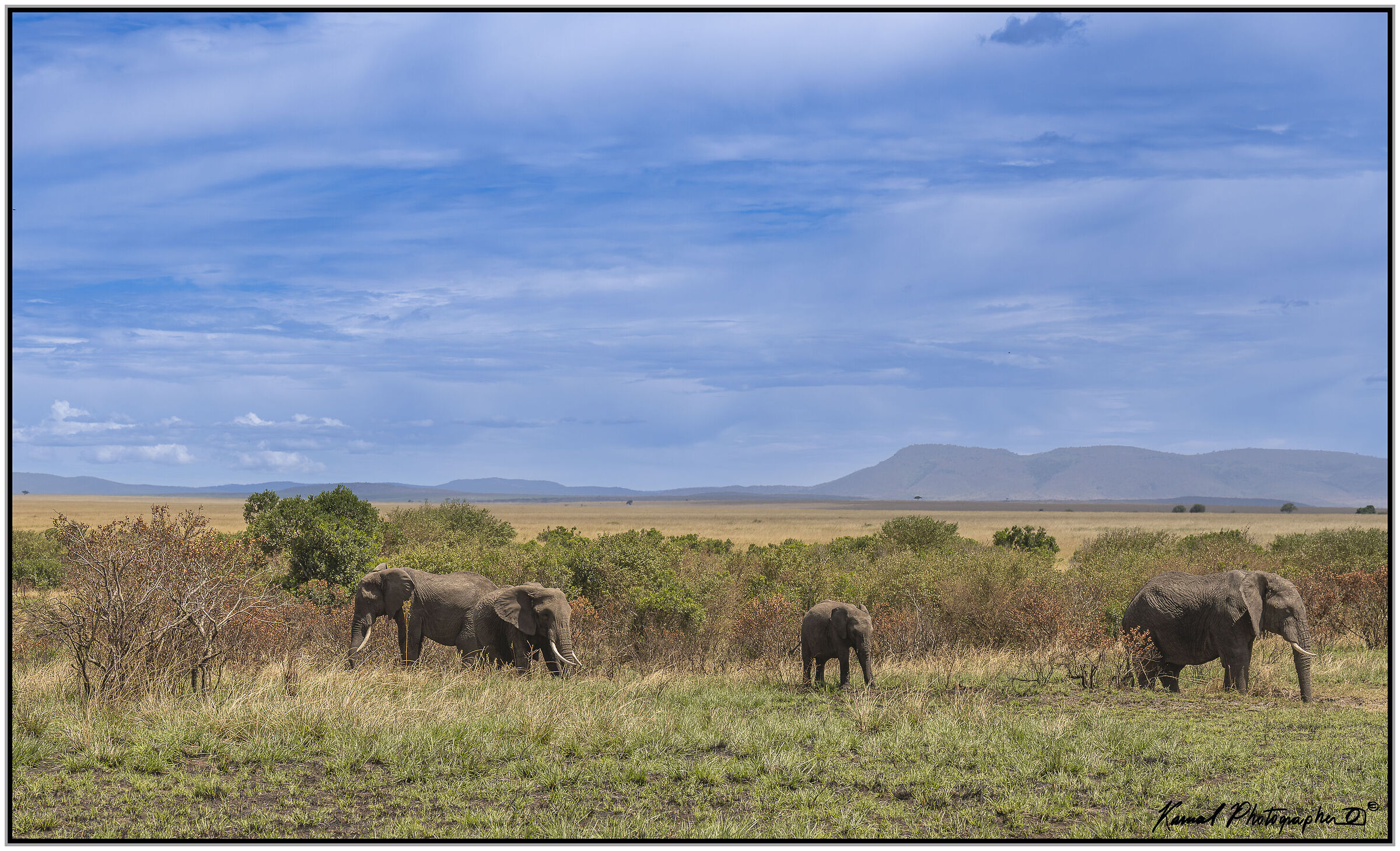 Masai Mara