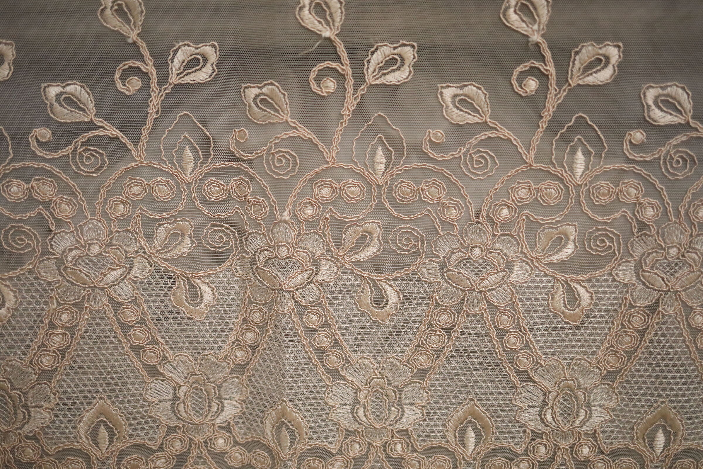 @ F.2.5 "ISO 6 thousand 400" Canon 5 D IV-35, F.2 IS USM