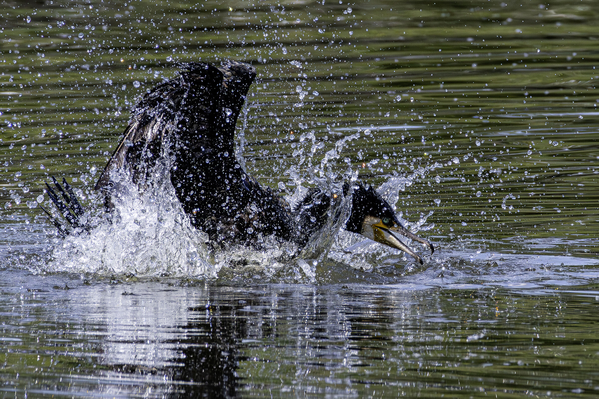Water games